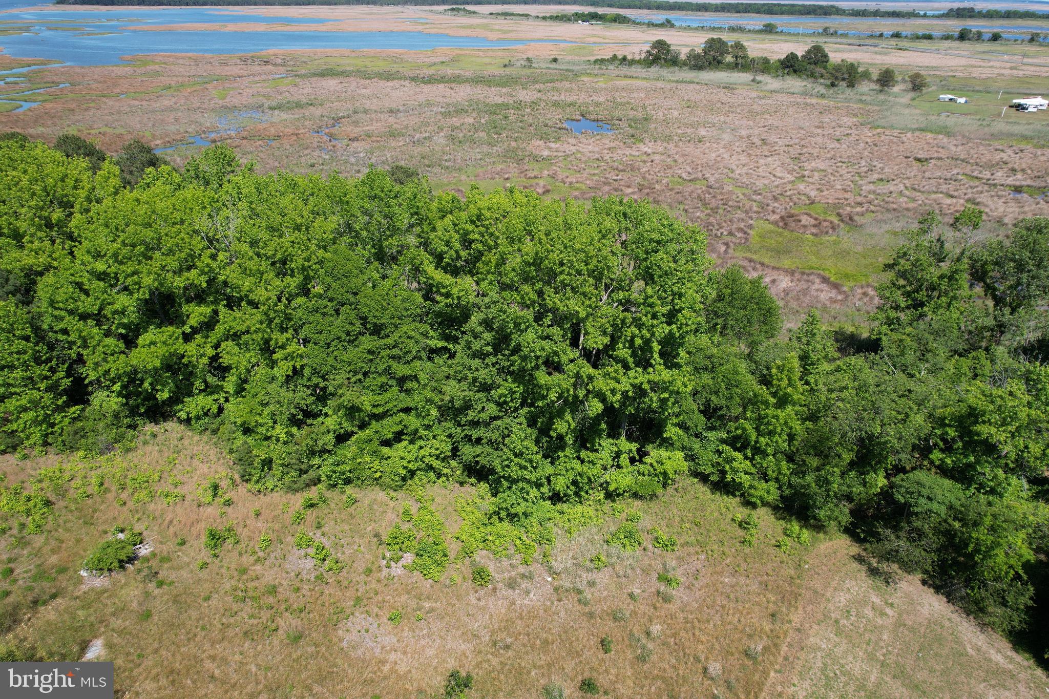 228 Fishhook Lane Deal Island, MD 21821 - Photo 4 of 10