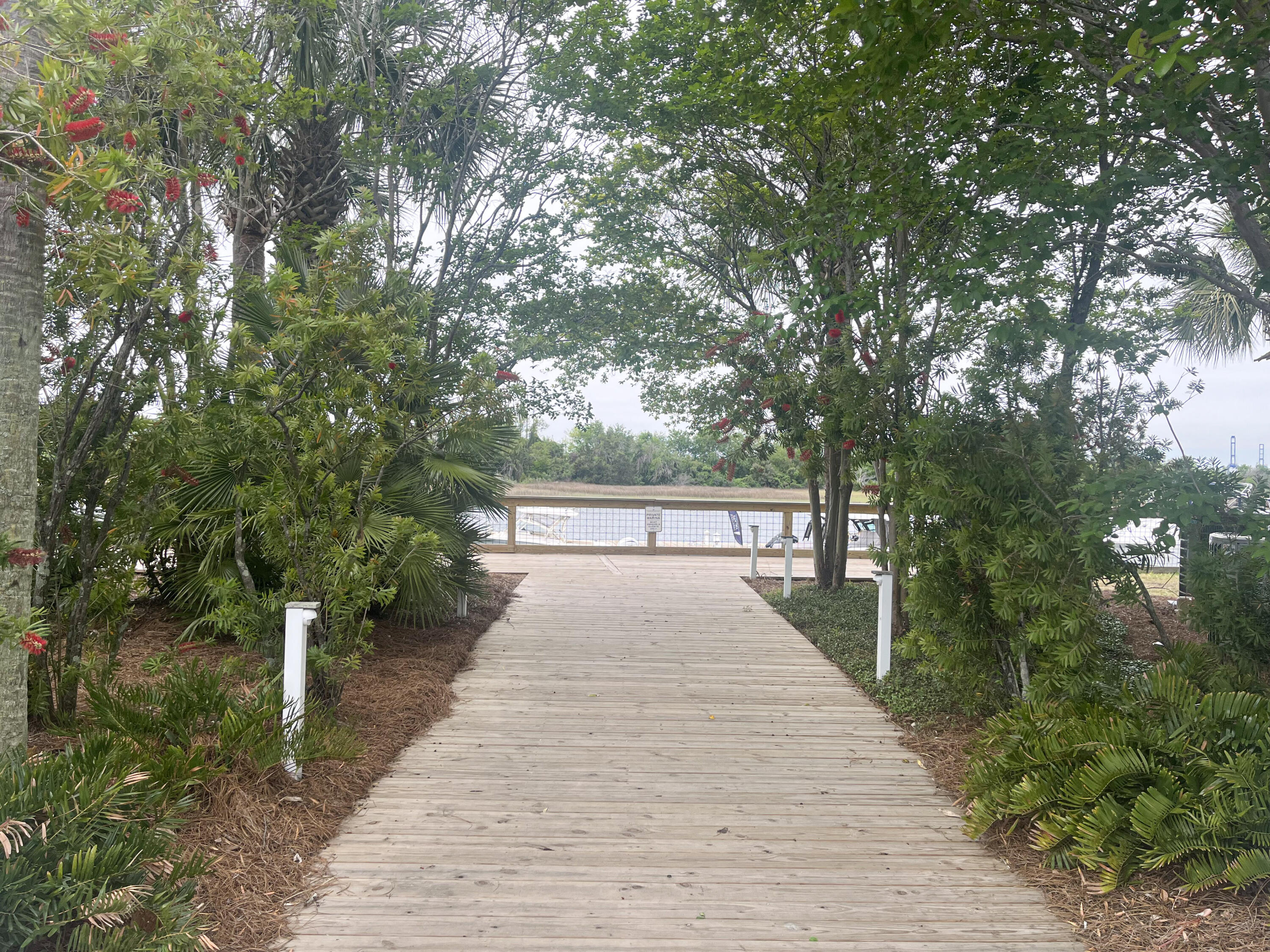 0 Daniel Island, Unit SLIP P8 Charleston, SC 29492 - Photo 5 of 6 IMG_0682 (1)