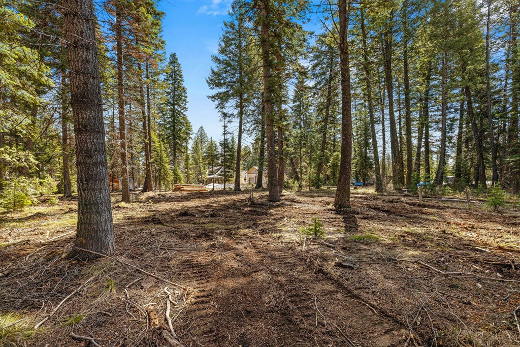 2144 Christie Road, Unit 8 Donnelly, ID 83615 - Photo 11 of 31