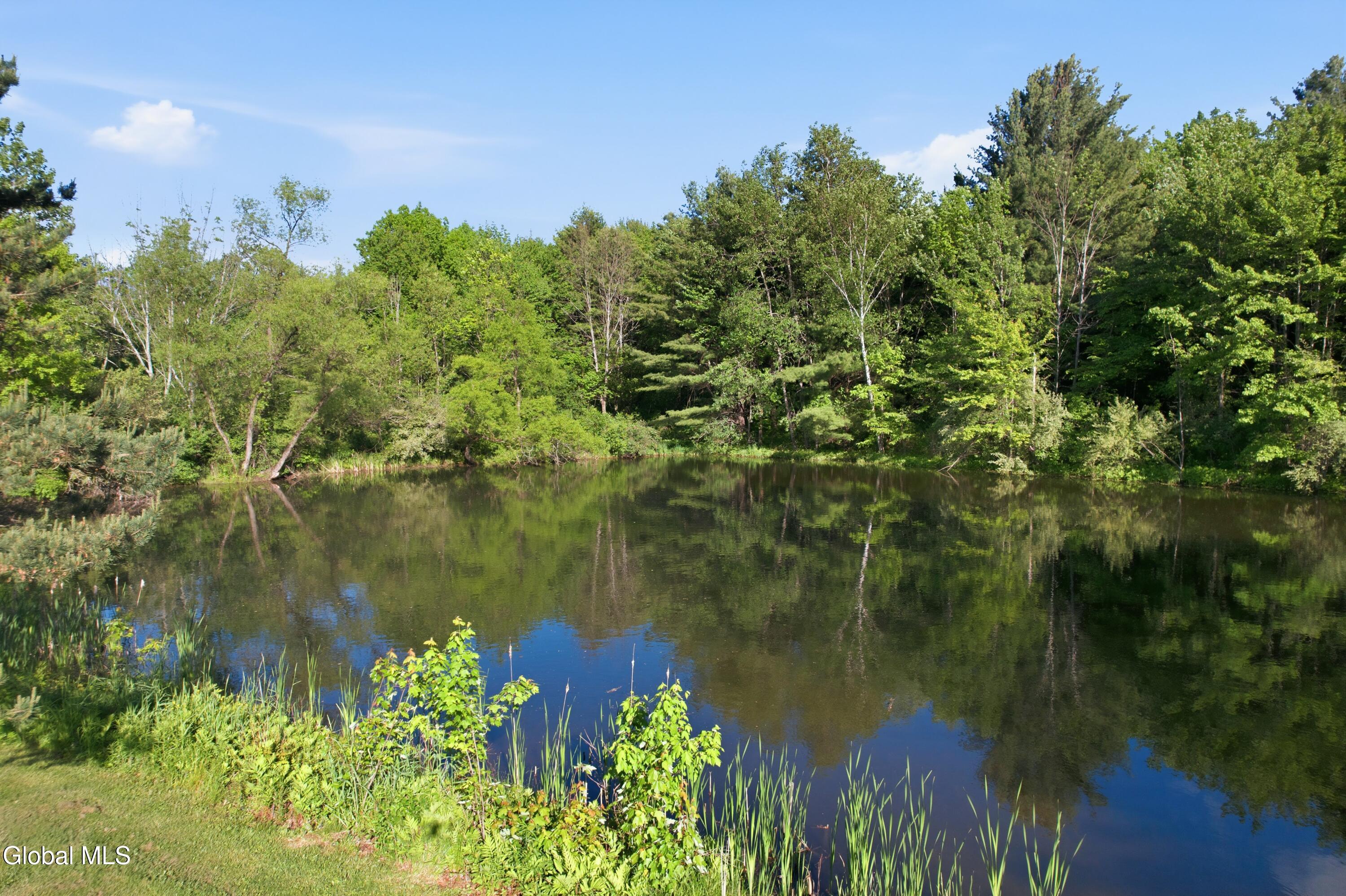 554 Mott Road Duanesburg, NY 12056 - Photo 53 of 64 DJI_0582