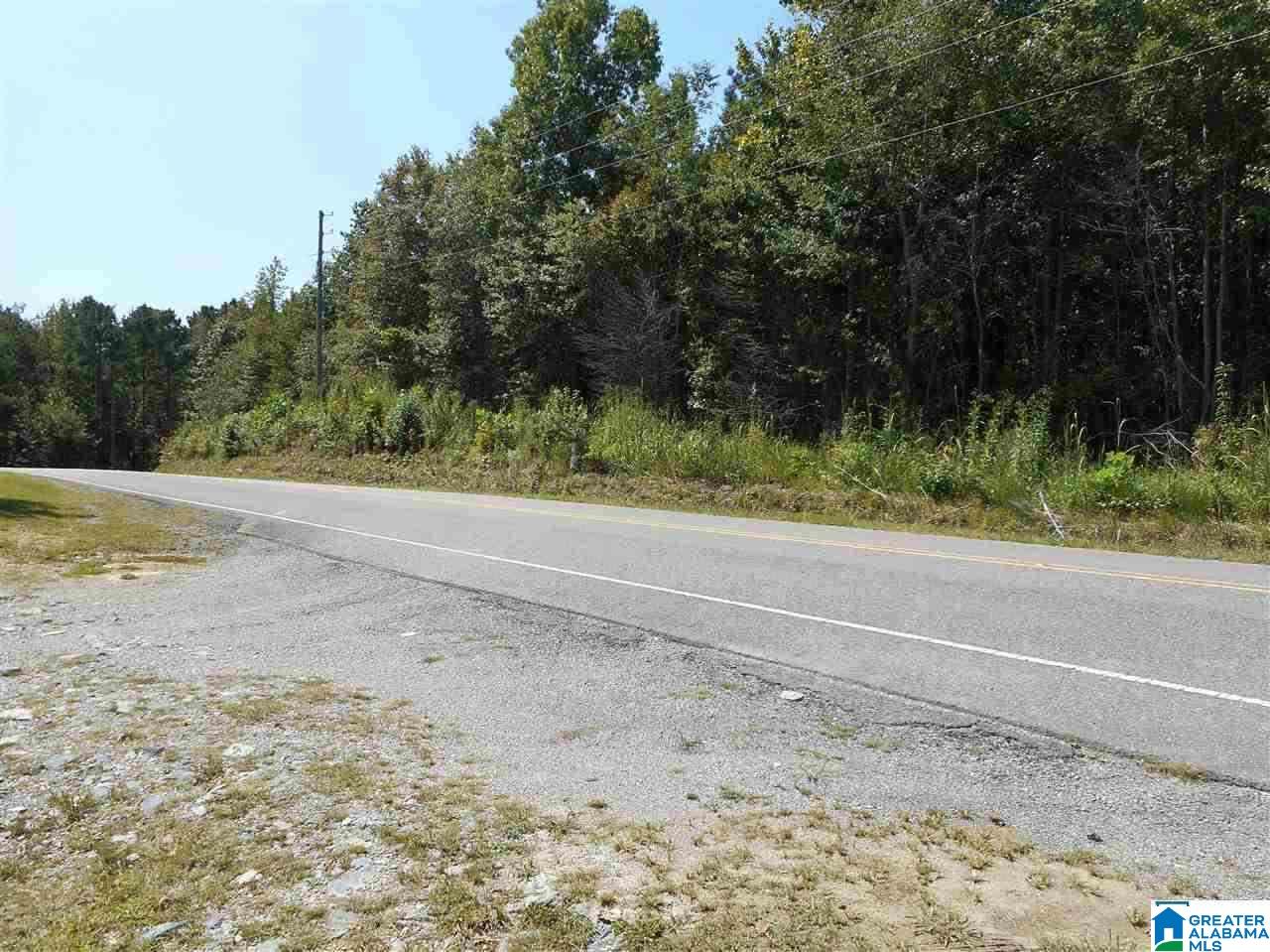 3957 Pleasant Valley Road, Unit 13 ACRES Odenville, AL 35120 - Photo 4 of 5