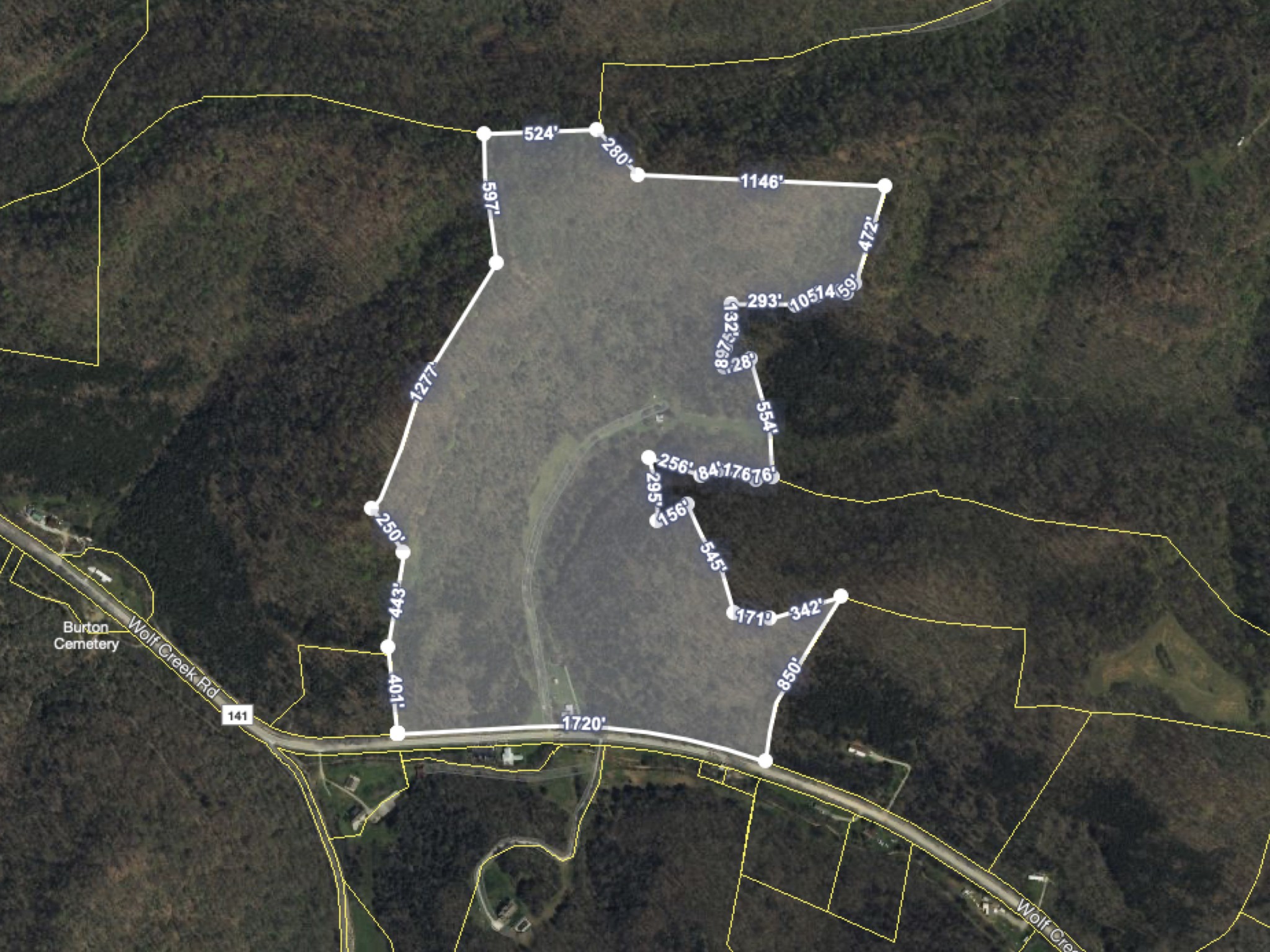 3437 Wolf Creek Road Silver Point, TN 38582 - Photo 4 of 70