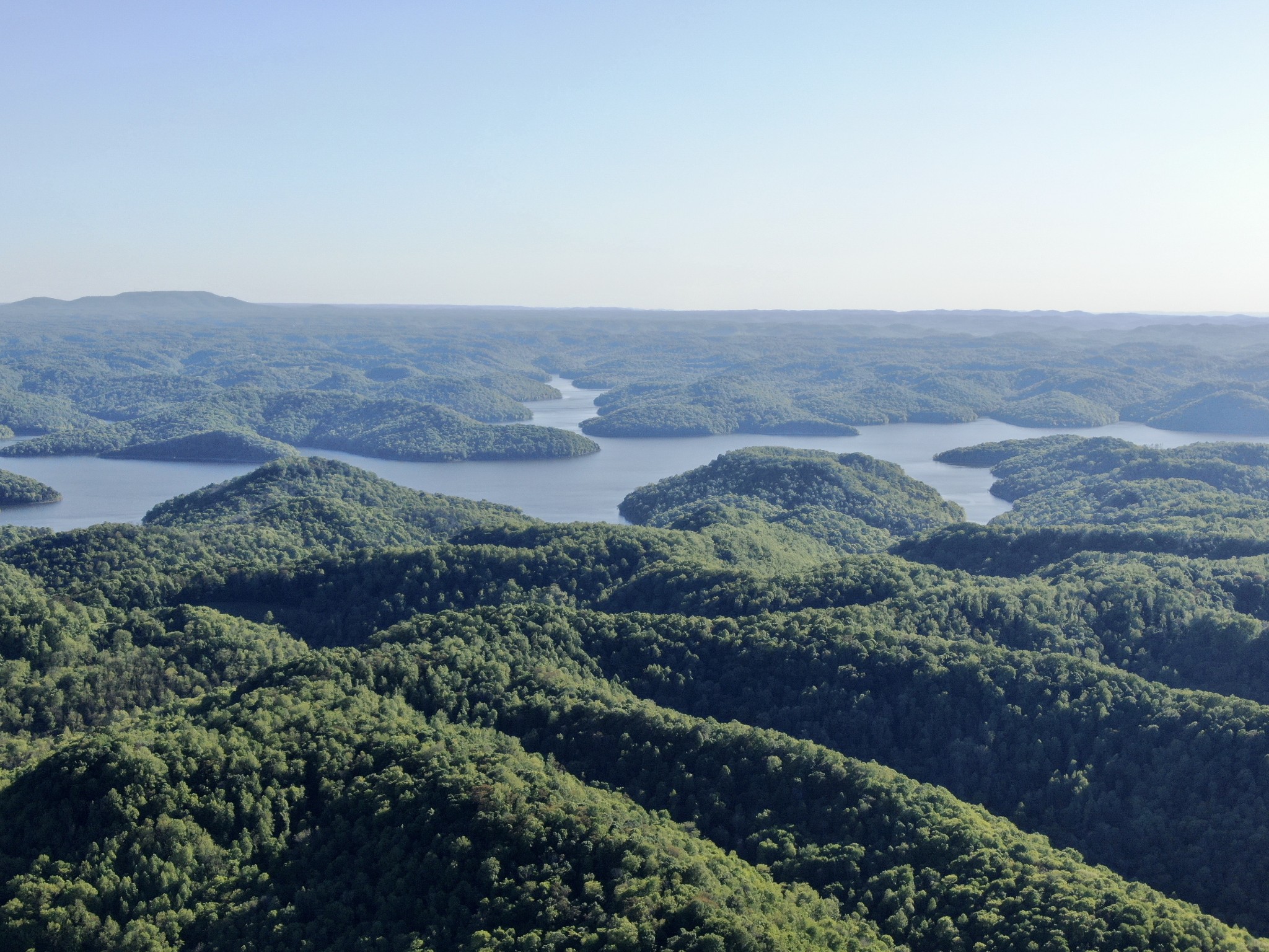 3437 Wolf Creek Road Silver Point, TN 38582 - Photo 44 of 70 a view of a yard