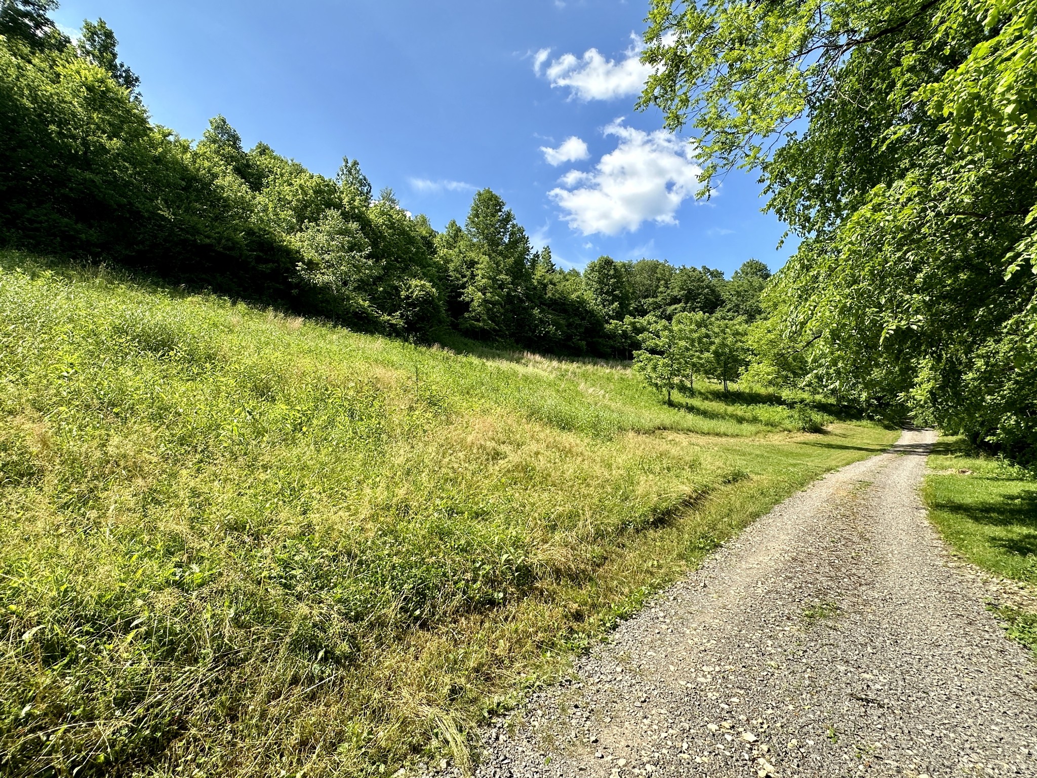 3437 Wolf Creek Road Silver Point, TN 38582 - Photo 49 of 70