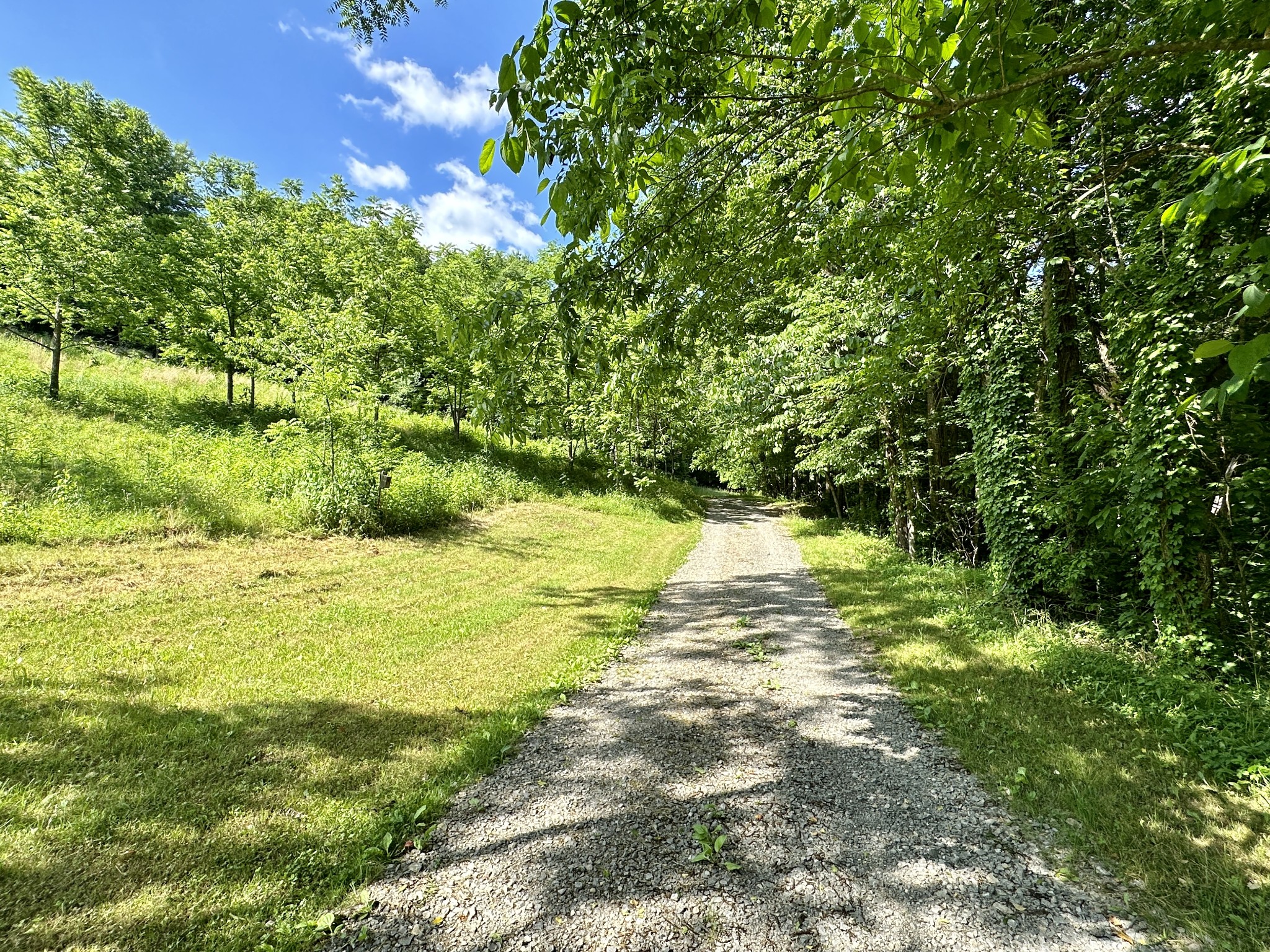 3437 Wolf Creek Road Silver Point, TN 38582 - Photo 50 of 70