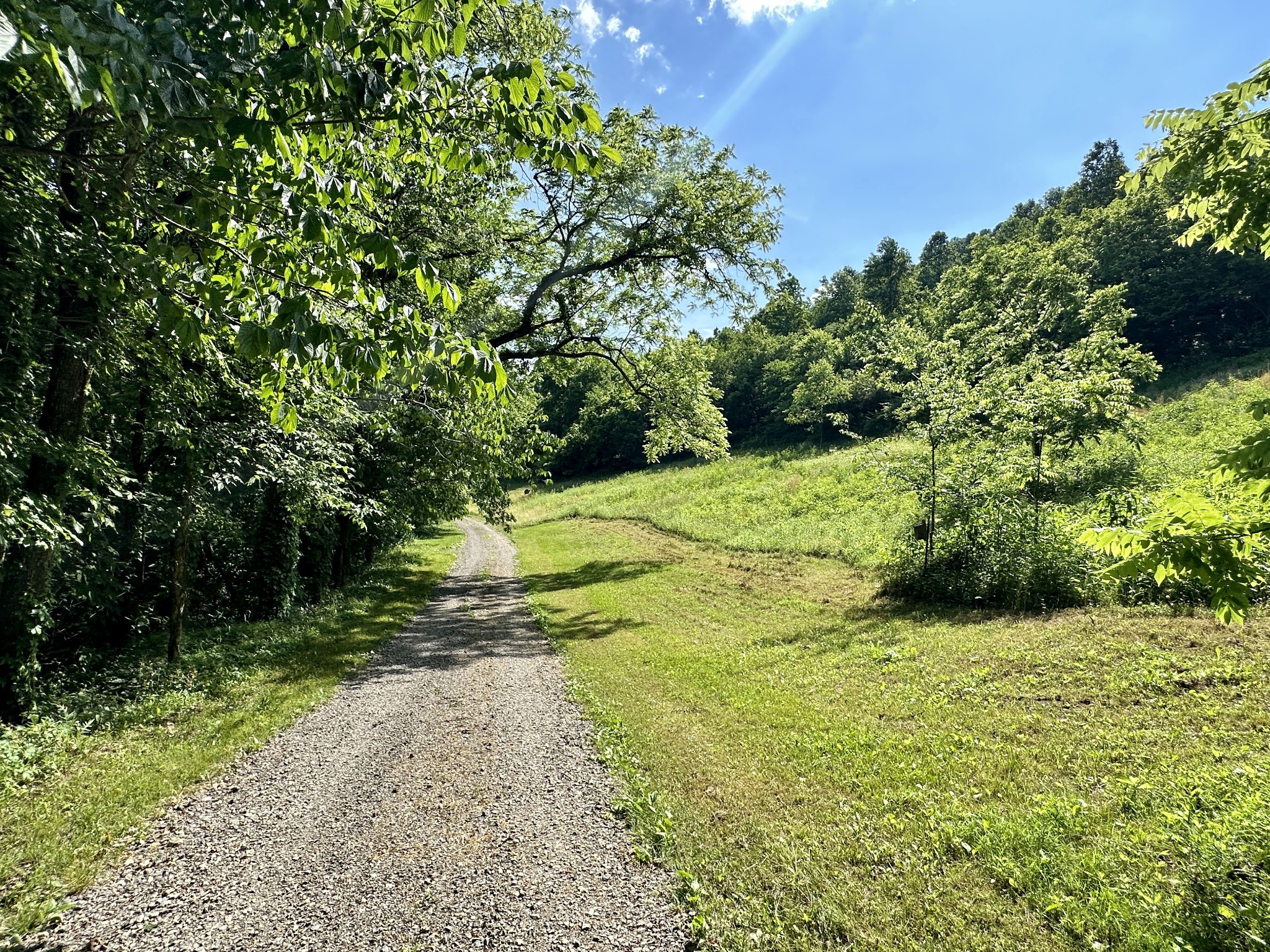 3437 Wolf Creek Road Silver Point, TN 38582 - Photo 51 of 70