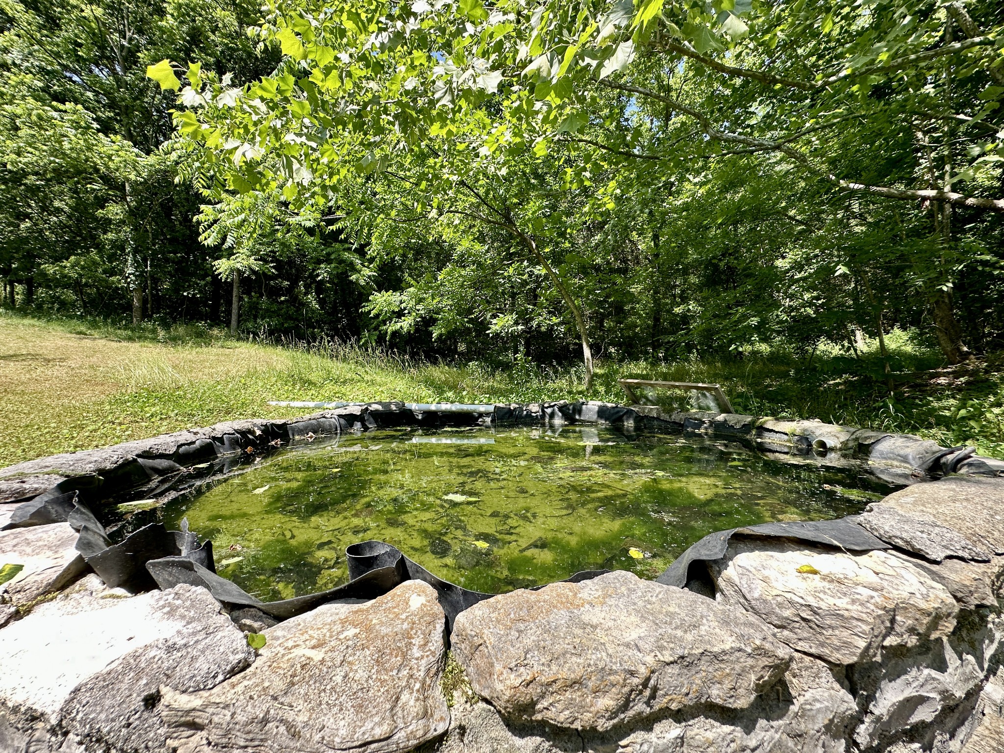 3437 Wolf Creek Road Silver Point, TN 38582 - Photo 66 of 70