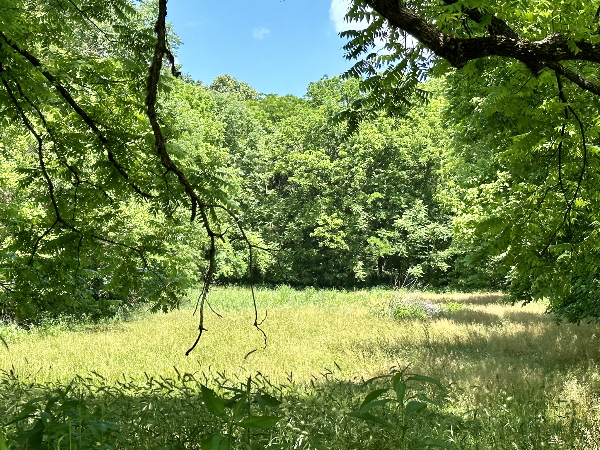 3437 Wolf Creek Road Silver Point, TN 38582 - Photo 67 of 70 a view of swimming pool from a yard