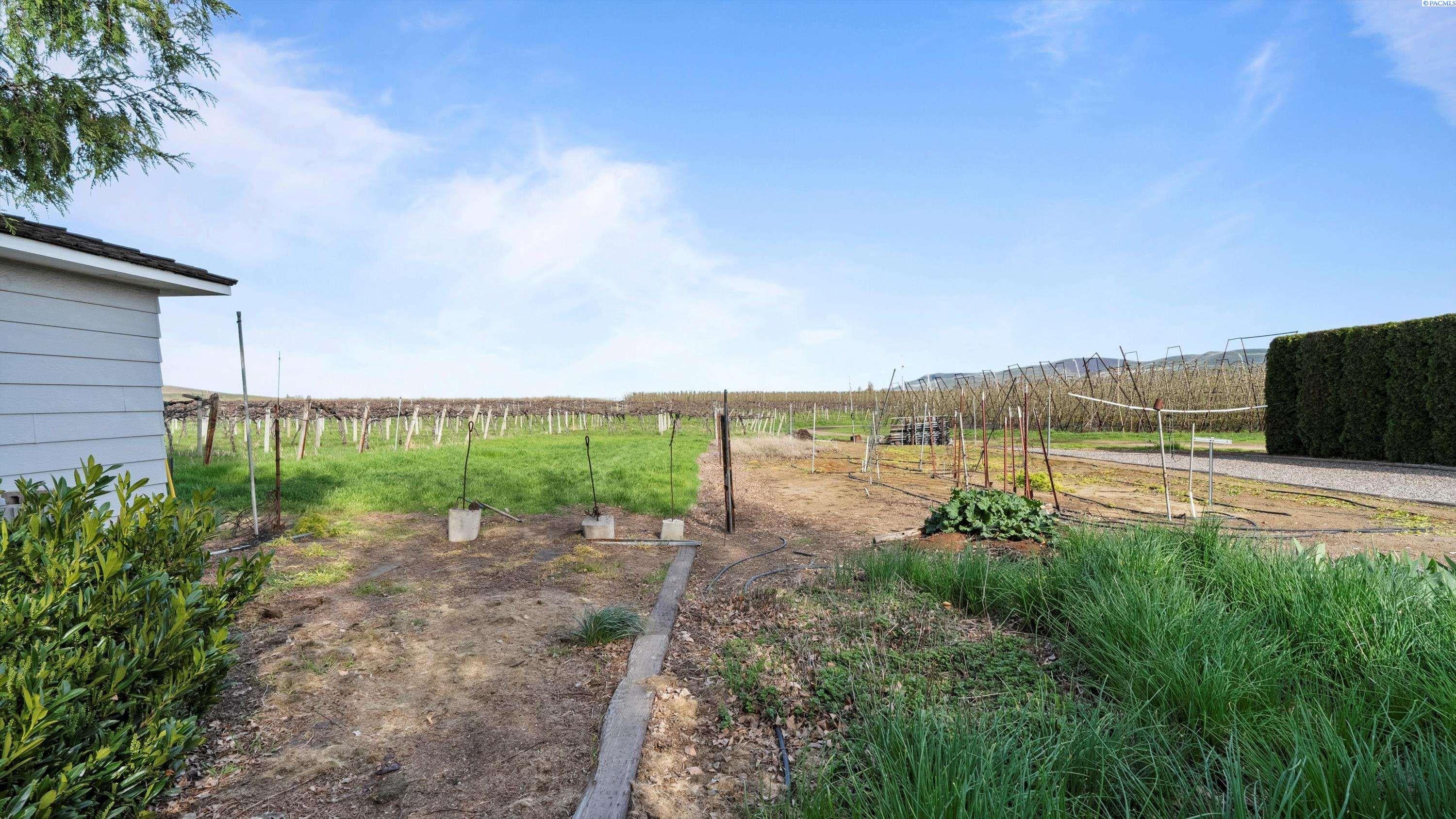 43701 North O'Brien Road Prosser, WA 99350 - Photo 45 of 48 Gallery Image 45