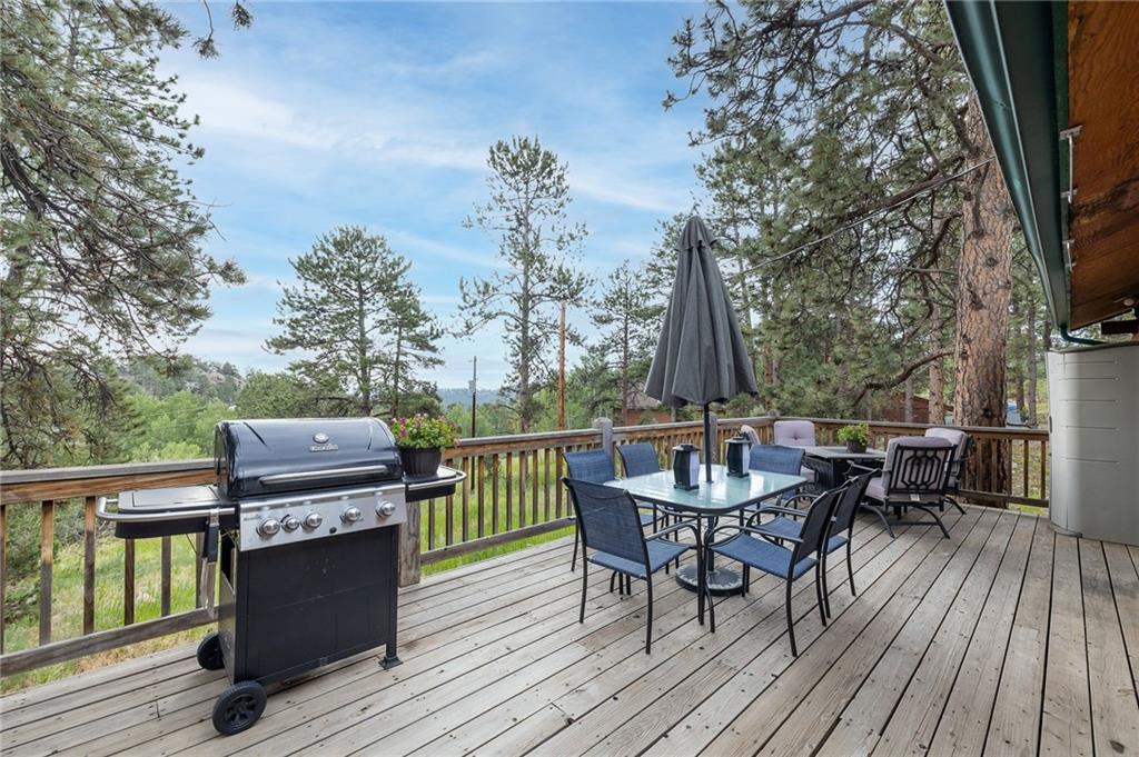 12 Bunny Road Bailey, CO 80421 - Photo 16 of 21 Gallery Image 16