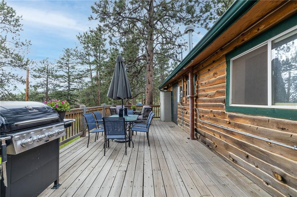 12 Bunny Road Bailey, CO 80421 - Photo 18 of 21 Gallery Image 18