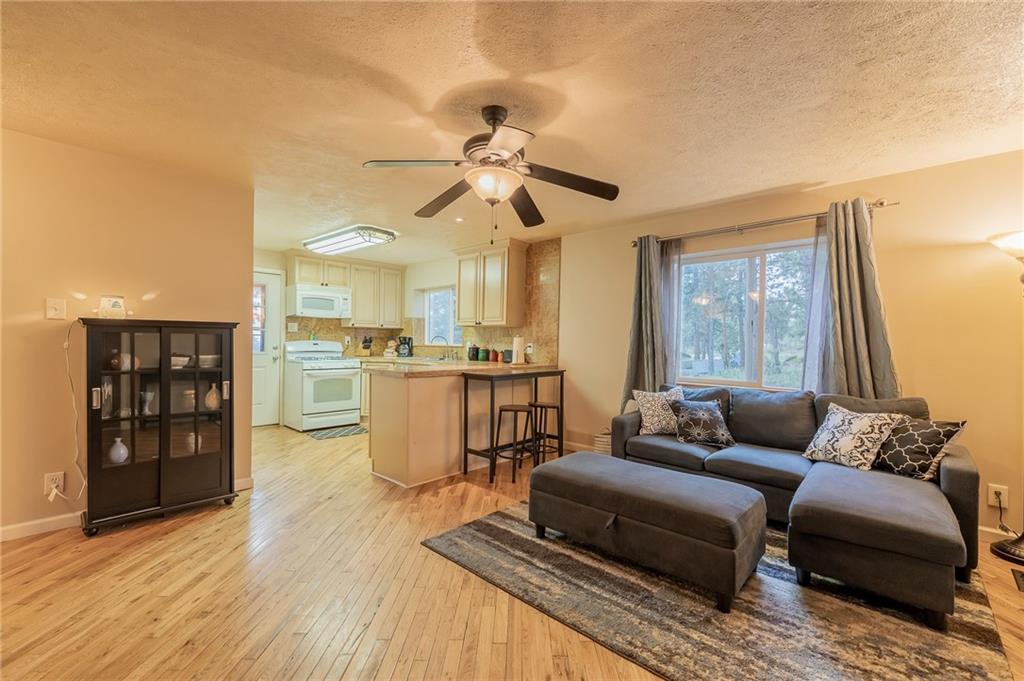 12 Bunny Road Bailey, CO 80421 - Photo 3 of 21 Gallery Image 3