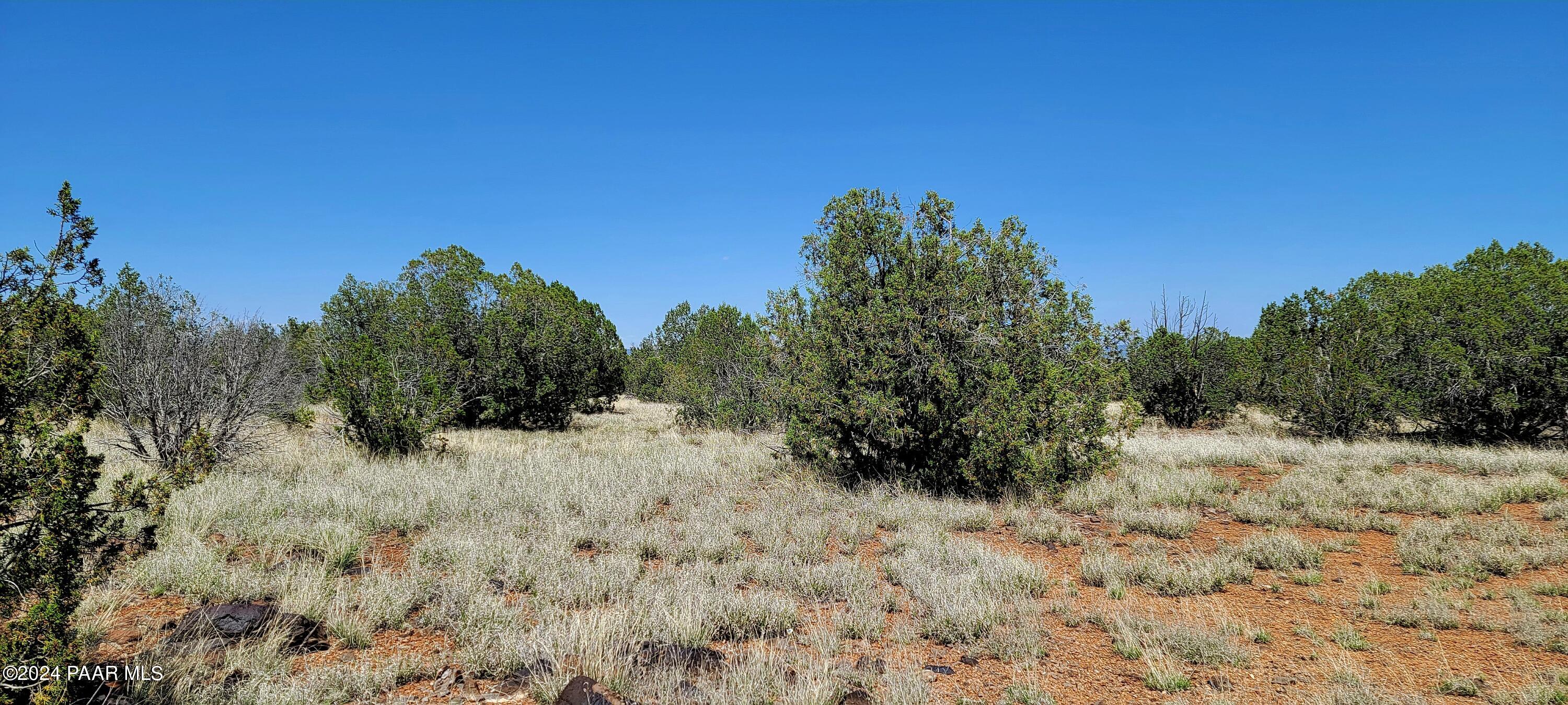 Lot 2 Stockmans Road Ash Fork, AZ 86320 - Photo 2 of 10 2C Stockmans