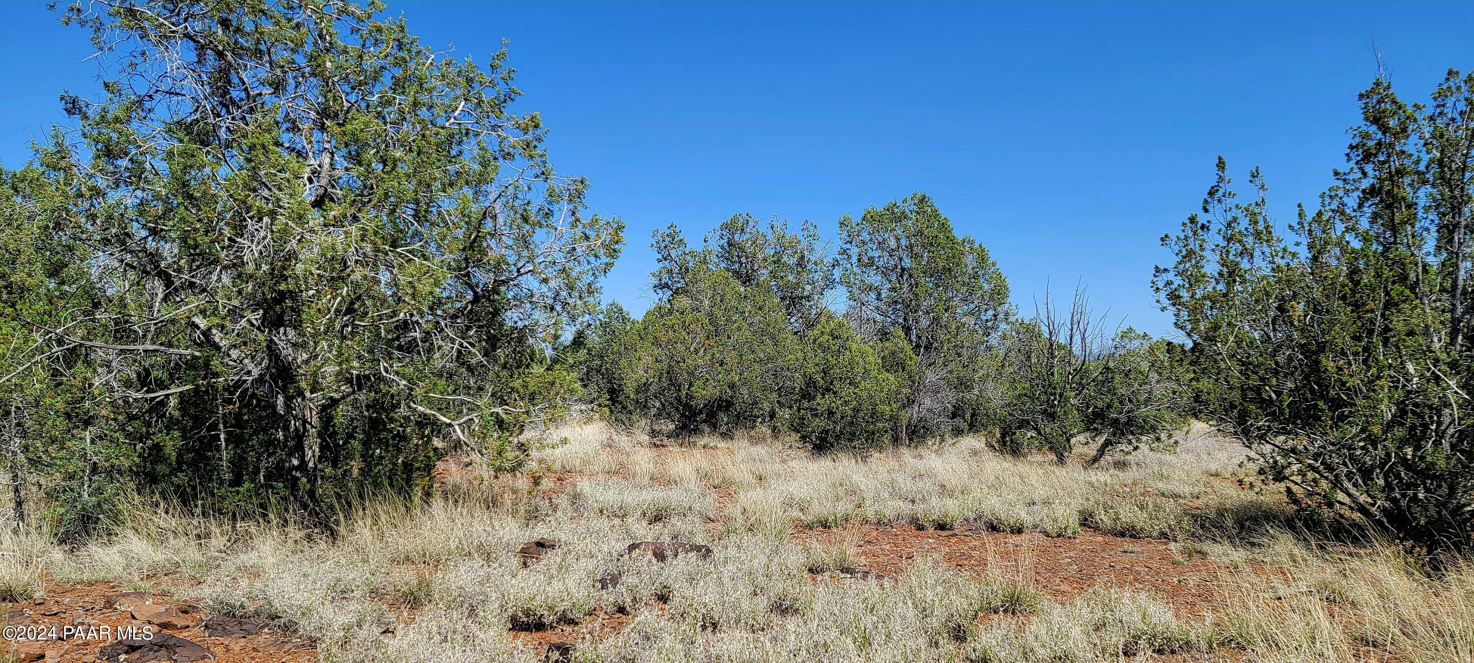 Lot 2 Stockmans Road Ash Fork, AZ 86320 - Photo 3 of 10 Mature Trees