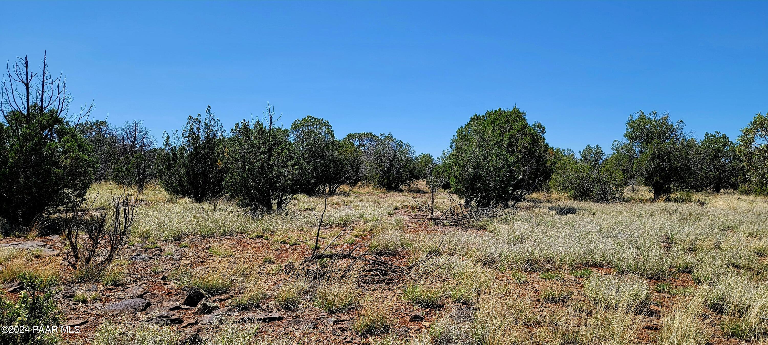 Lot 2 Stockmans Road Ash Fork, AZ 86320 - Photo 4 of 10 2C Stockmans