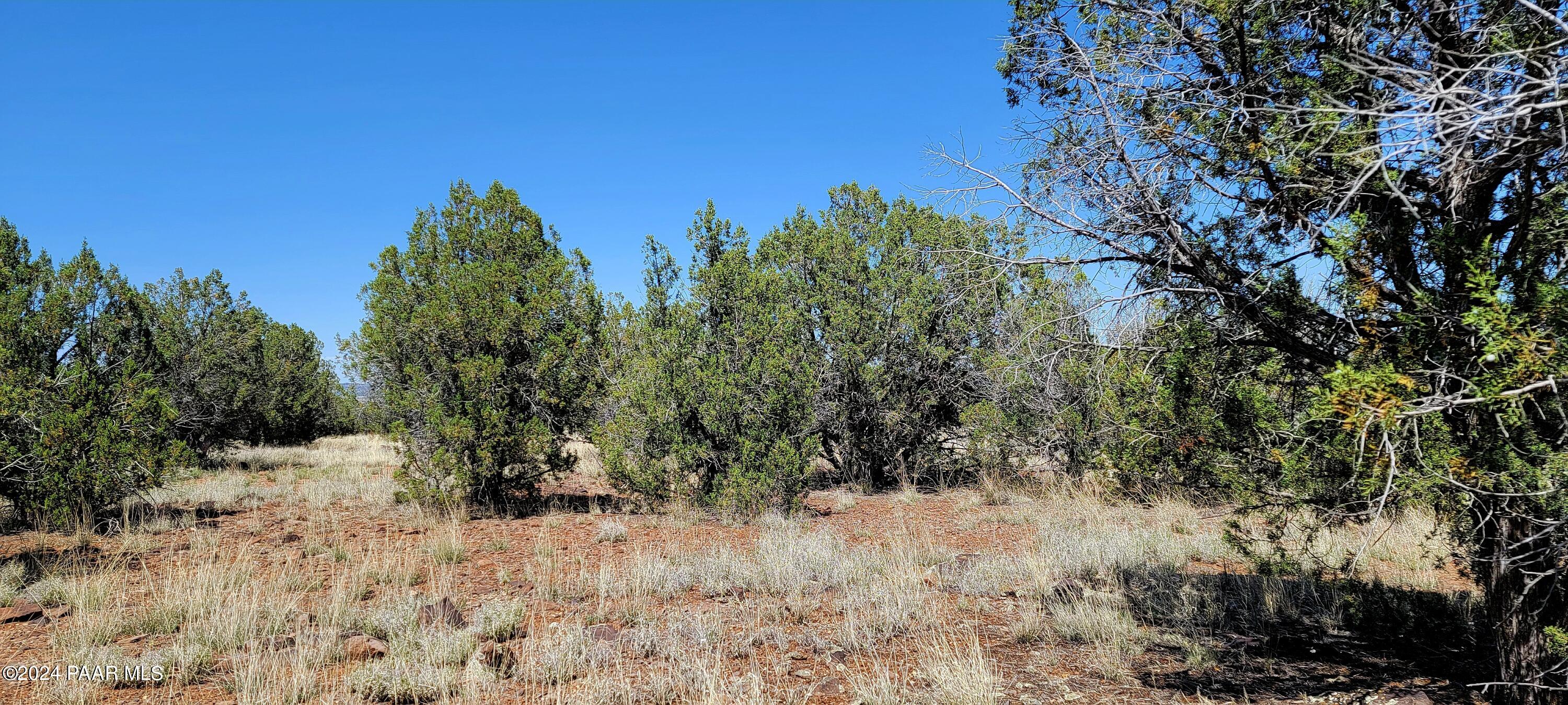 Lot 2 Stockmans Road Ash Fork, AZ 86320 - Photo 5 of 10 2C Stockmans