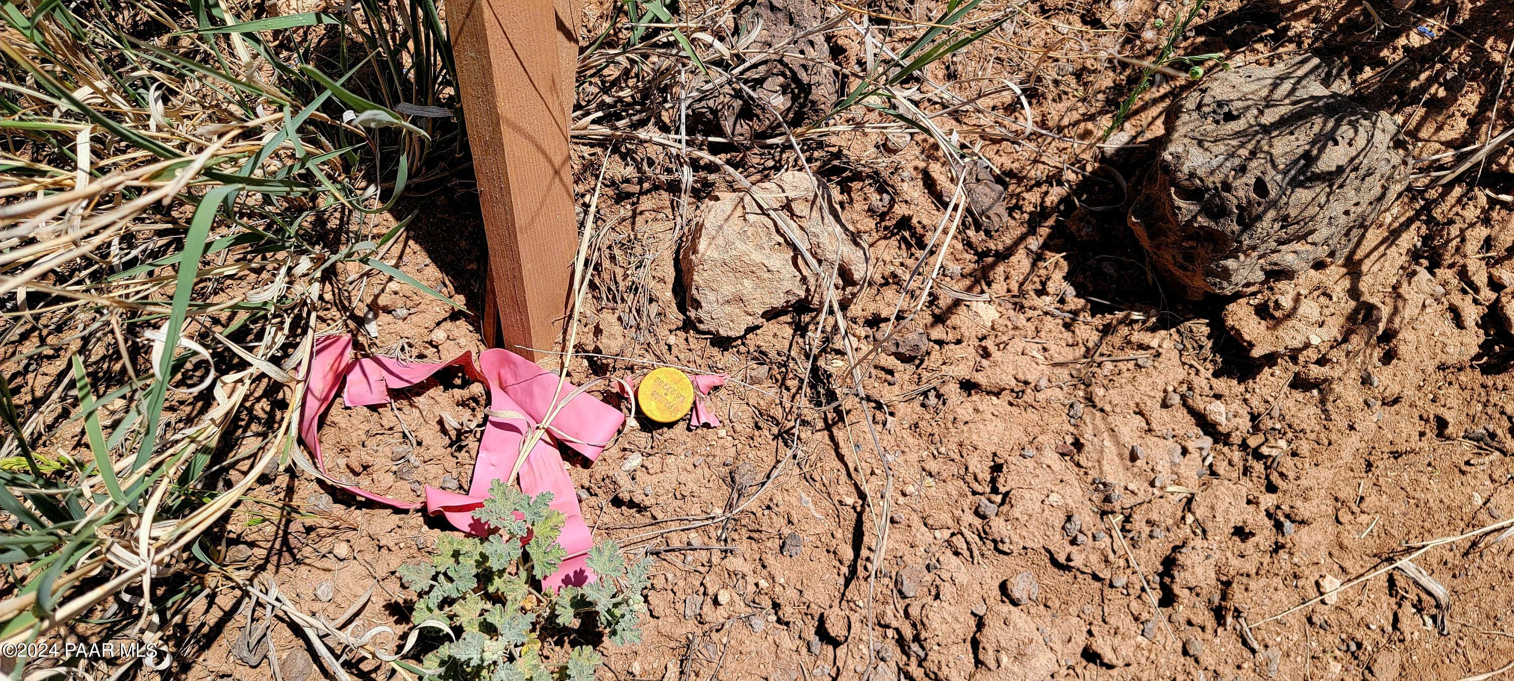 Lot 2 Stockmans Road Ash Fork, AZ 86320 - Photo 10 of 10 Corner Pin