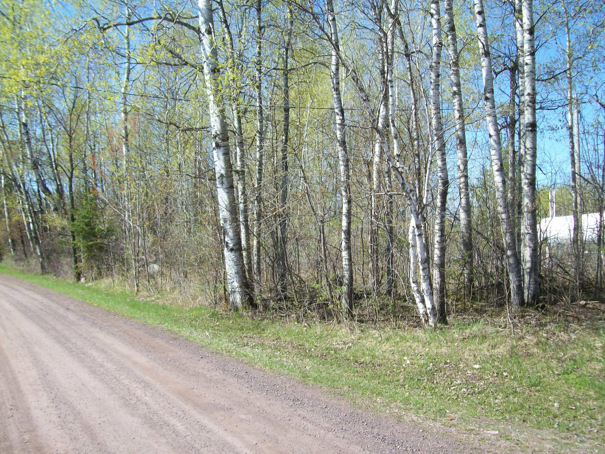 Xyz Old Military Road South Sandstone, MN 55072 - Photo 1 of 1 Gallery Image 1