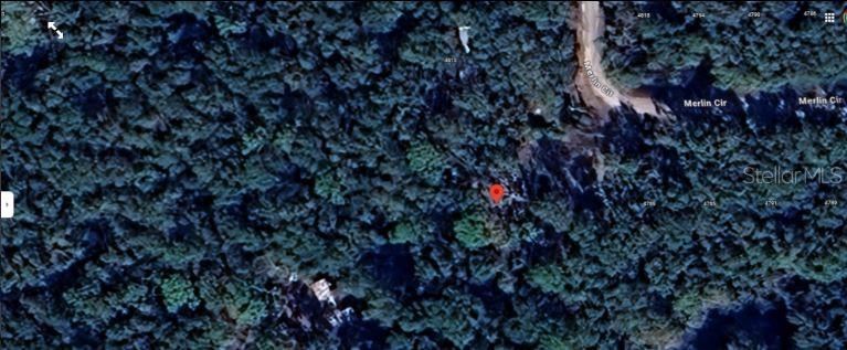 4809 Merlin Circle Ridge Manor, FL 33523 - Photo 5 of 8