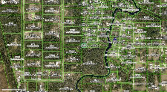 4809 Merlin Circle Ridge Manor, FL 33523 - Photo 7 of 8