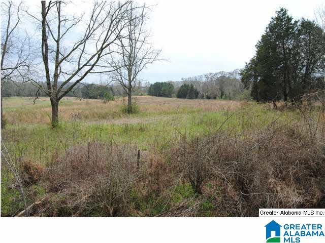 1637 Providence Road Talladega, AL 35160 - Photo 1 of 13