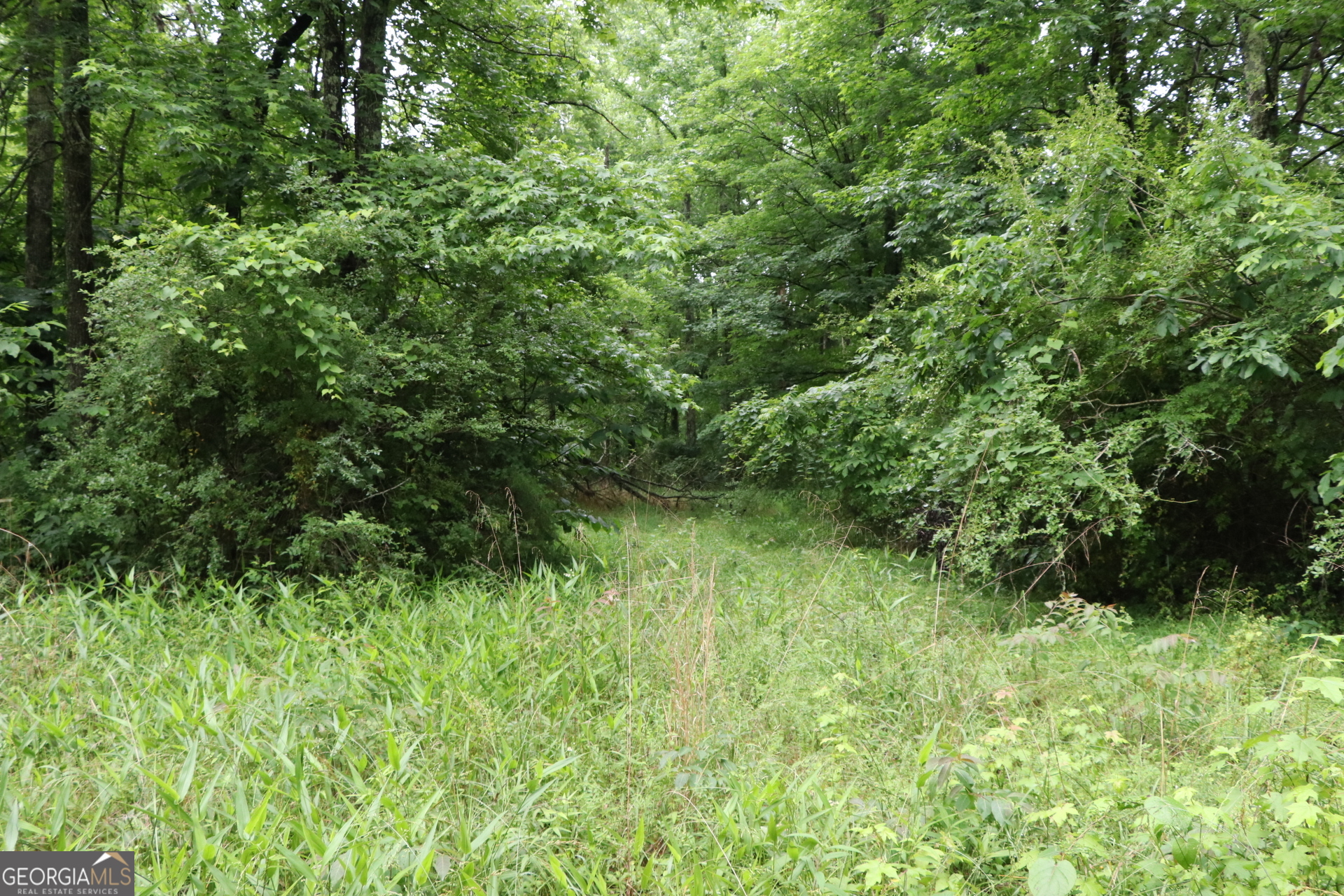 833 Neal Gap Road Summerville, GA 30747 - Photo 20 of 86