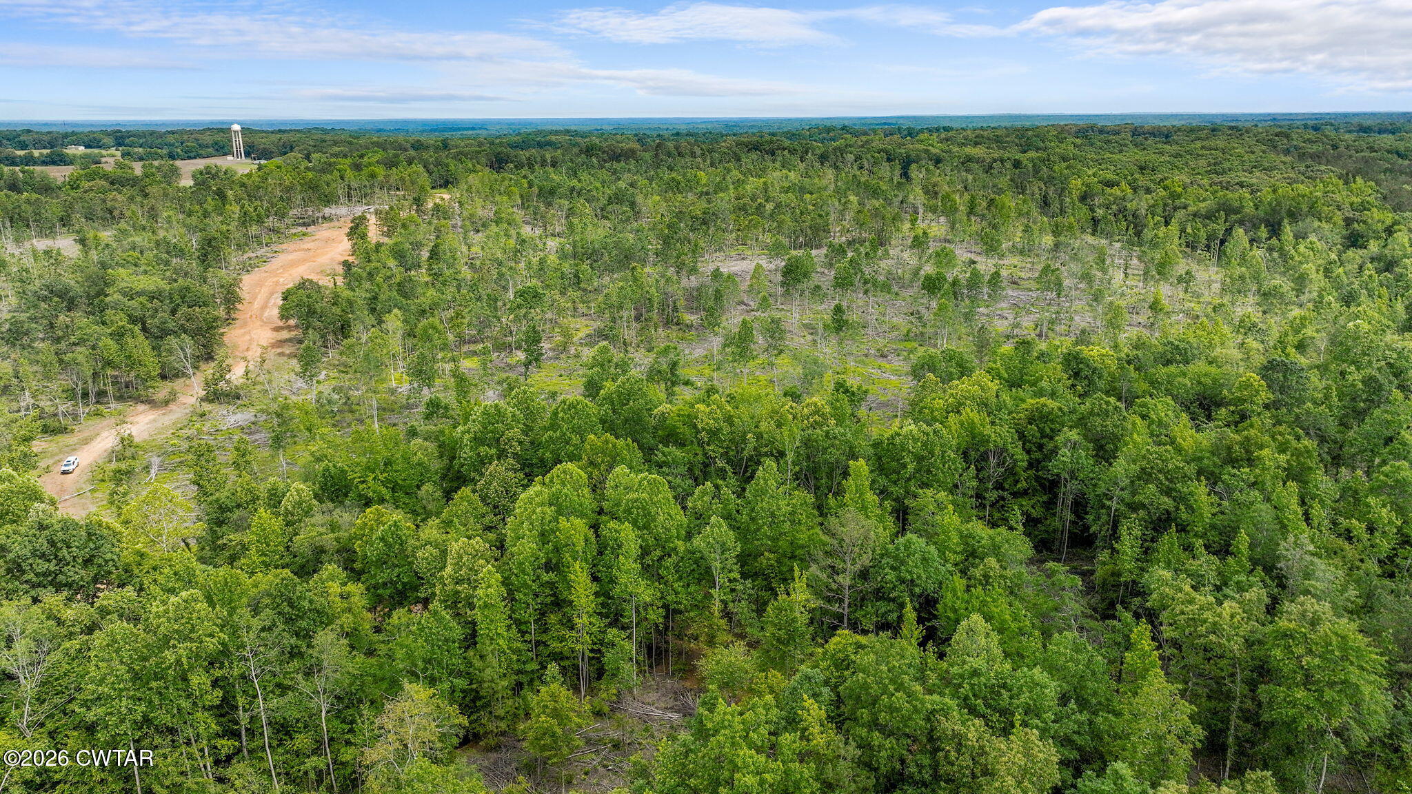 0 Wynn Road Big Sandy, TN 38221 - Photo 15 of 28 13-web-or-mls-DJI_0069