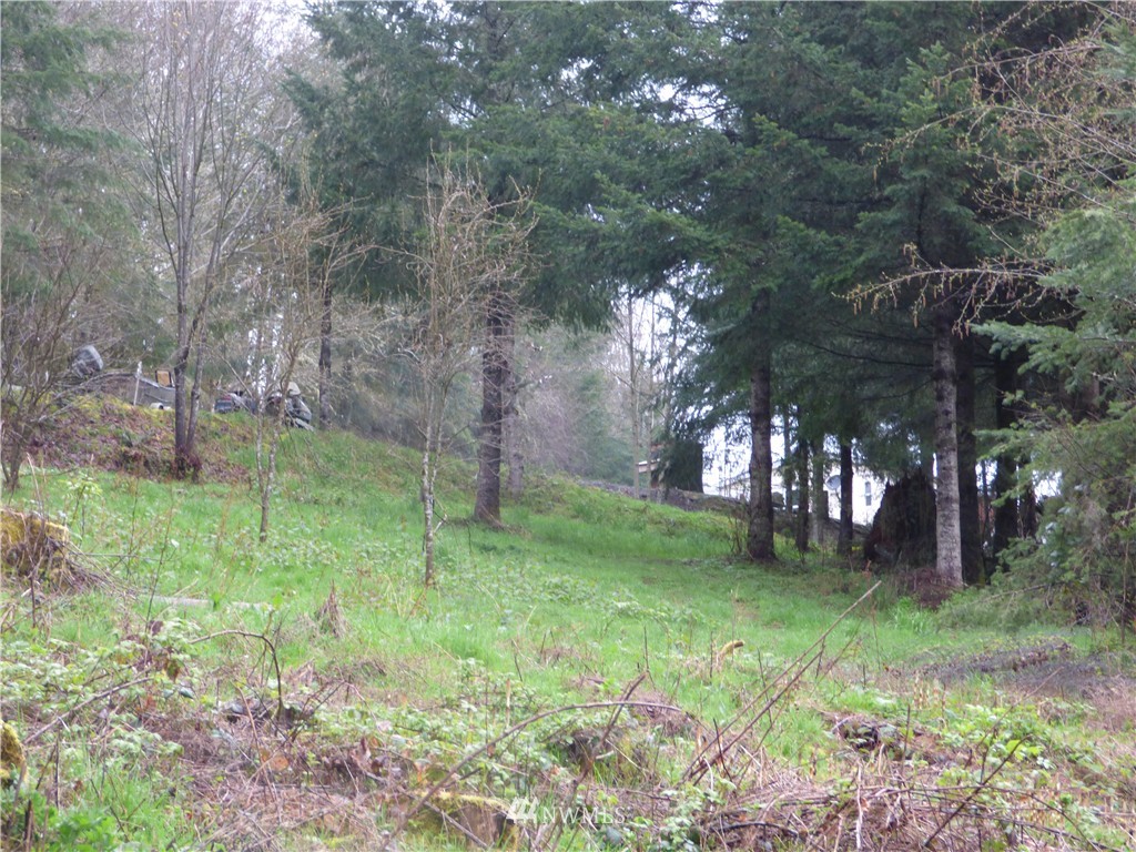 209 Westbrooke Road Castle Rock, WA 98611 - Photo 23 of 25 Gallery Image 23