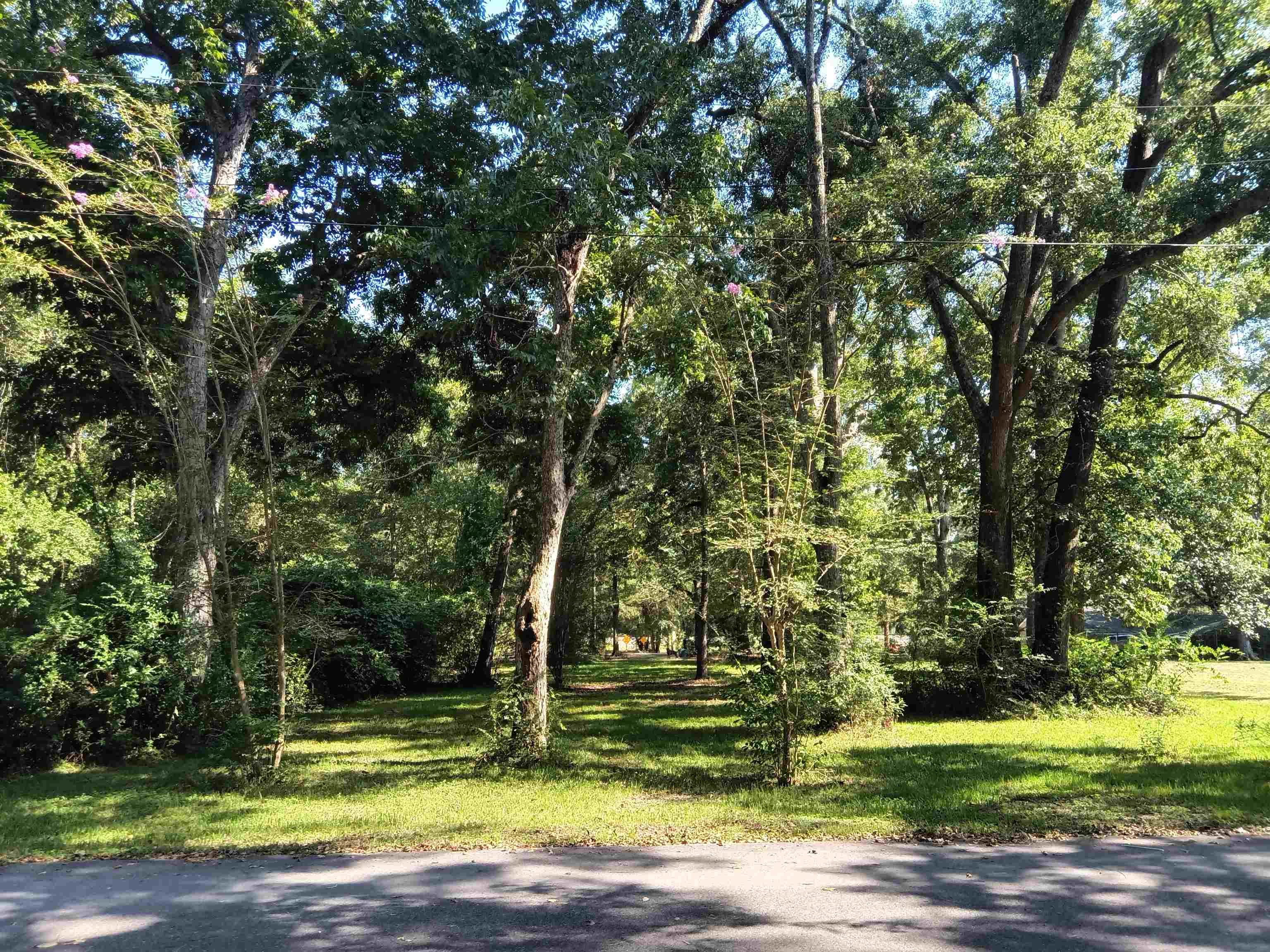 0 Charles Street Bay Minette, AL 36507 - Photo 9 of 10