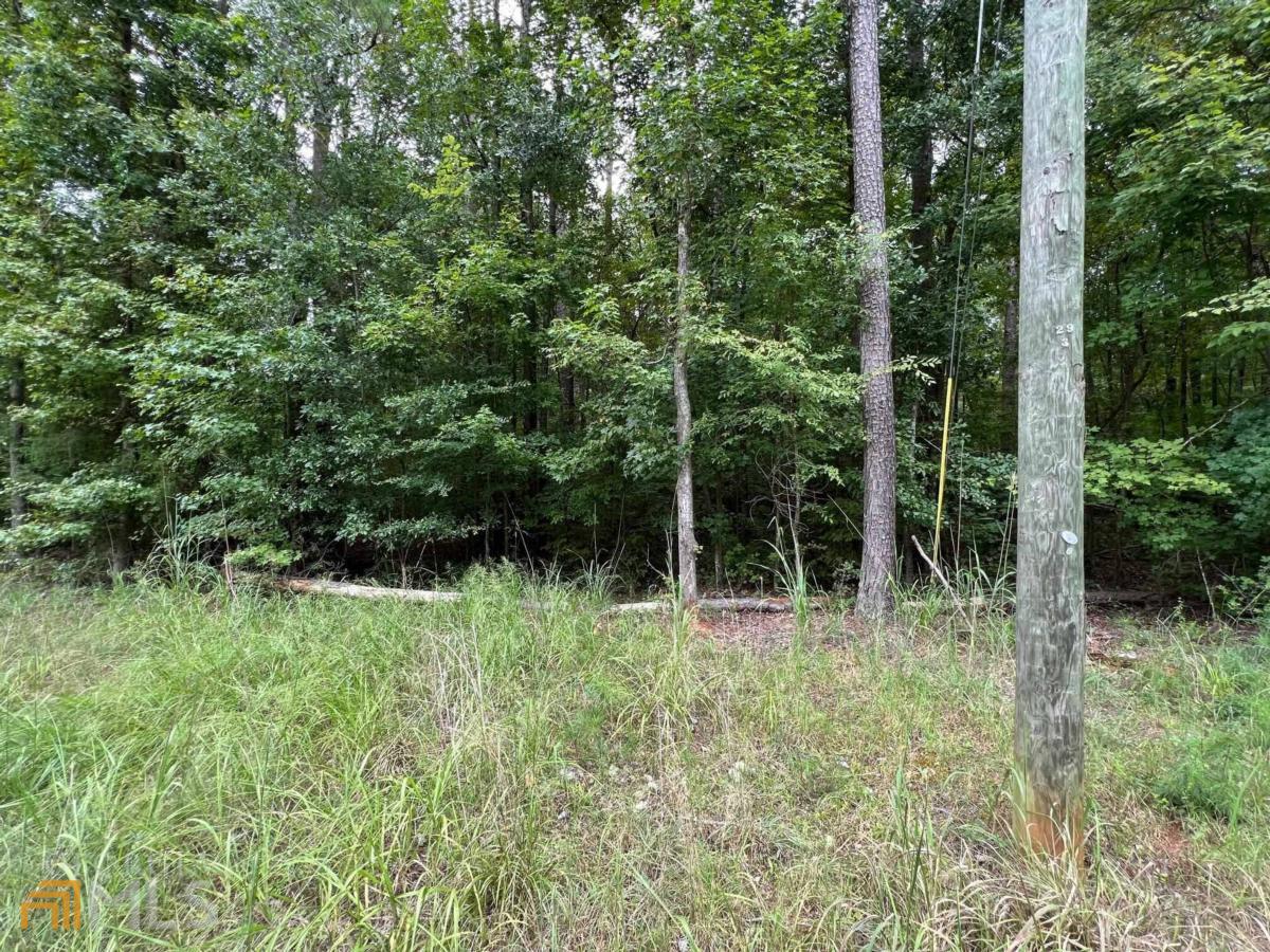 0 Shellcracker Court Eatonton, GA 31024 - Photo 1 of 1 Gallery Image 1