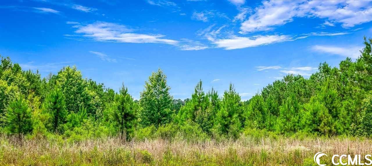 Tbd Jasmine Road Loris, SC 29569 - Photo 2 of 4