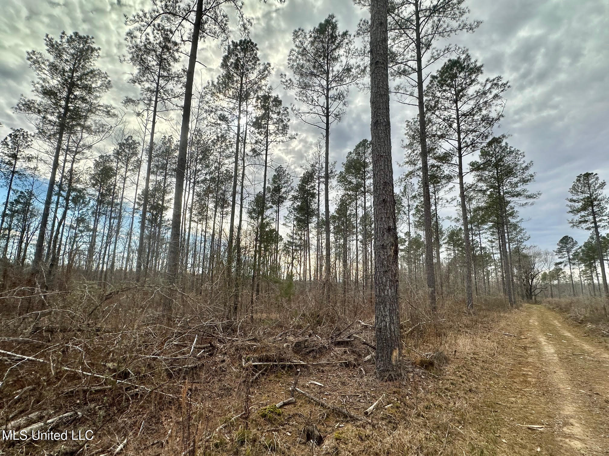 6145 Dry Grove Road Terry, MS 39170 - Photo 77 of 107 655 - Copy