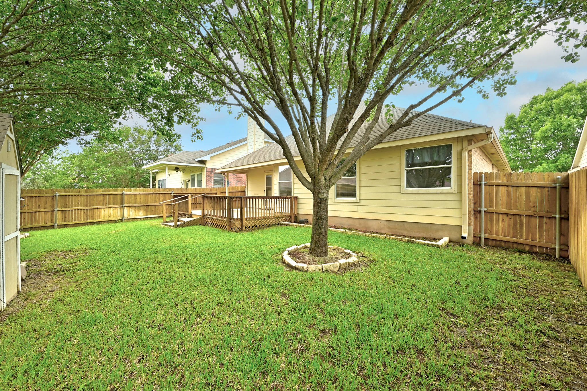 209 Calline Mayes Run Buda, TX 78610 - Photo 30 of 32 Expansive backyard featuring a large tree, vibrant green lawn, and wood privacy fencing