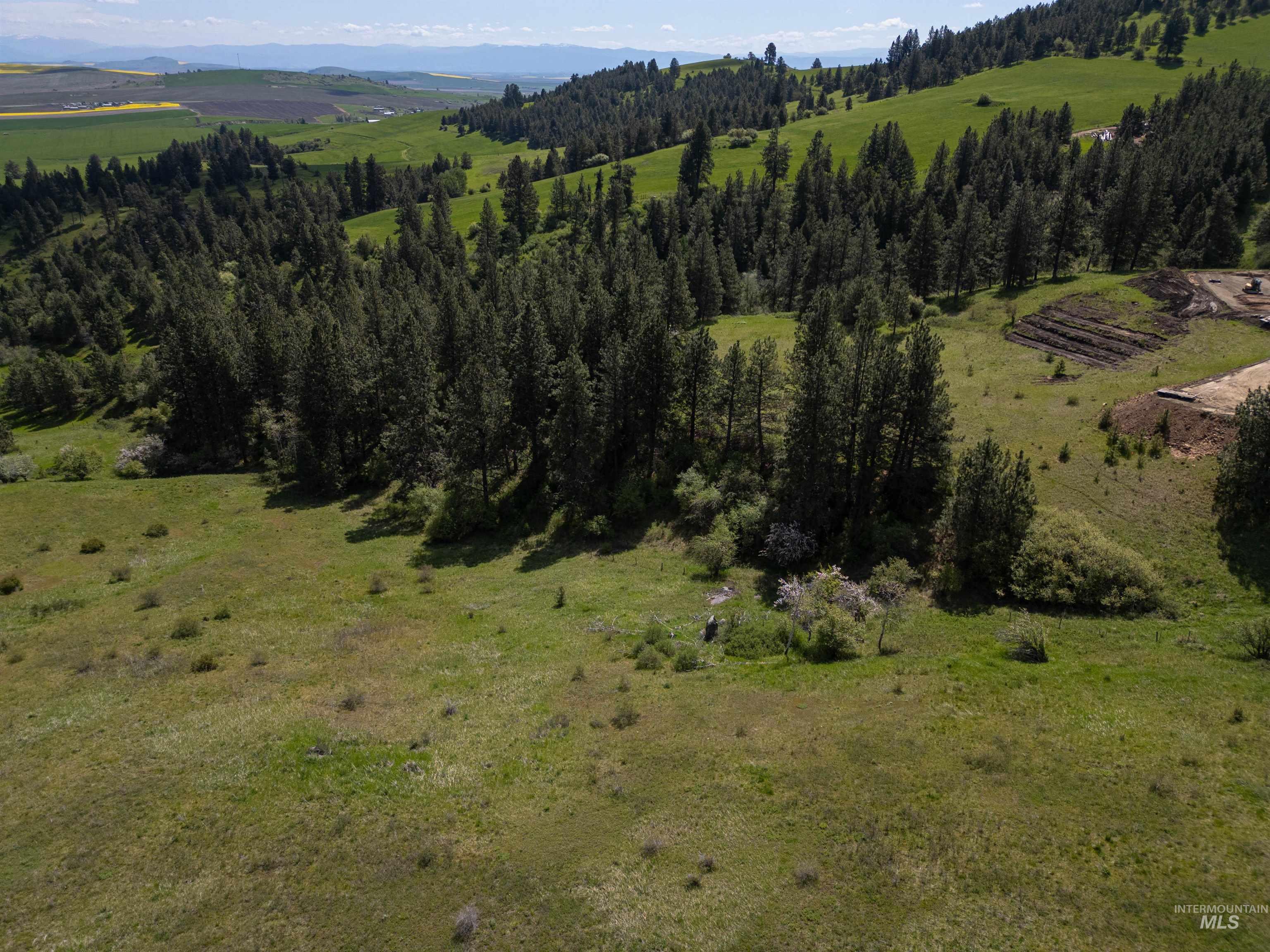 Tbd Tbd Riggin Road Cottonwood, ID 83522 - Photo 2 of 15