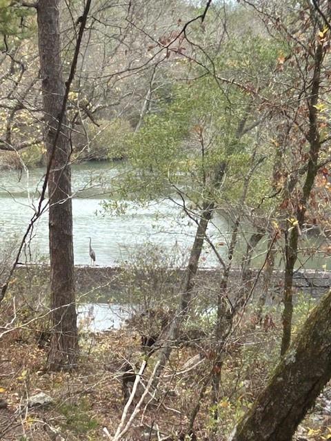 Tbd Tbd Josee's Journey Snow, OK 74567 - Photo 1 of 7 a view of a yard with large tree