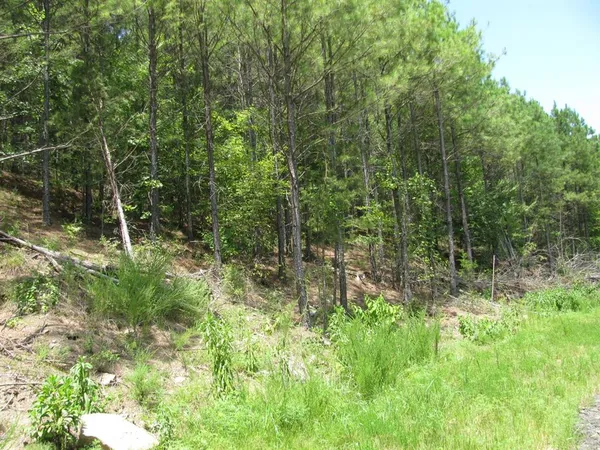a view of outdoor space and green space