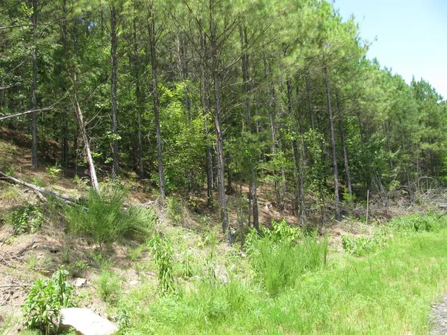 a view of outdoor space and green space