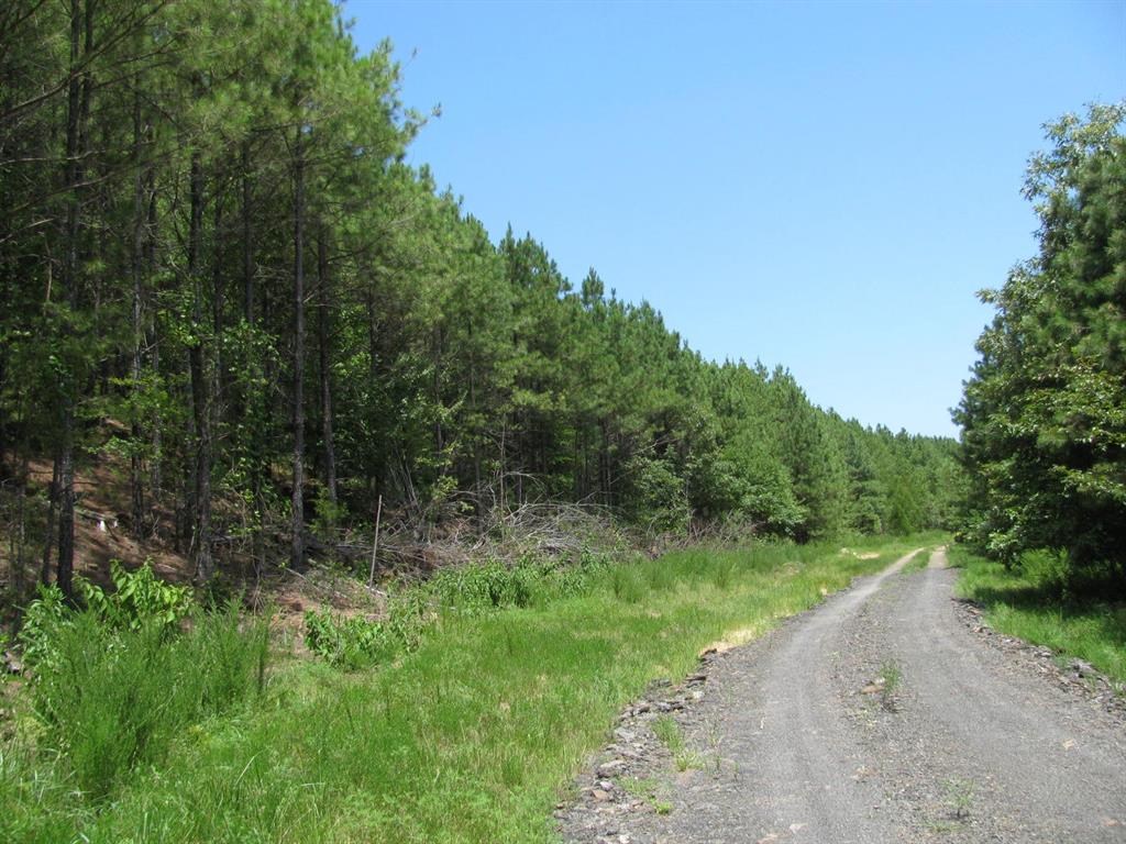 Tbd Tbd Josee's Journey Snow, OK 74567 - Photo 4 of 7 a big yard with lots of green space and deers