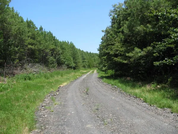 a view of a road with a yard
