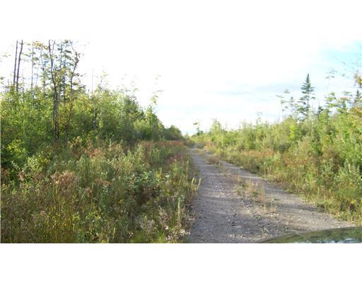 Lot #1 Morrison Road Houlton, ME 04730 - Photo 2 of 13 Exterior Front.