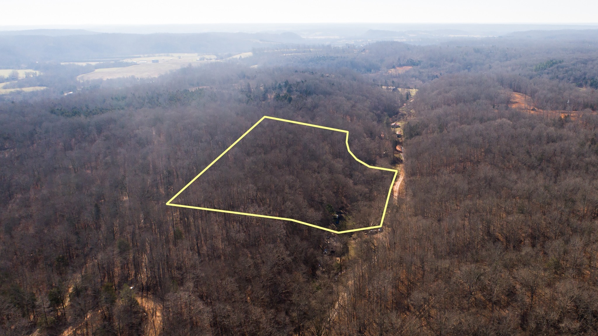 0 Possum Hollow Road Primm Springs, TN 38476 - Photo 1 of 29 a view of a dry yard