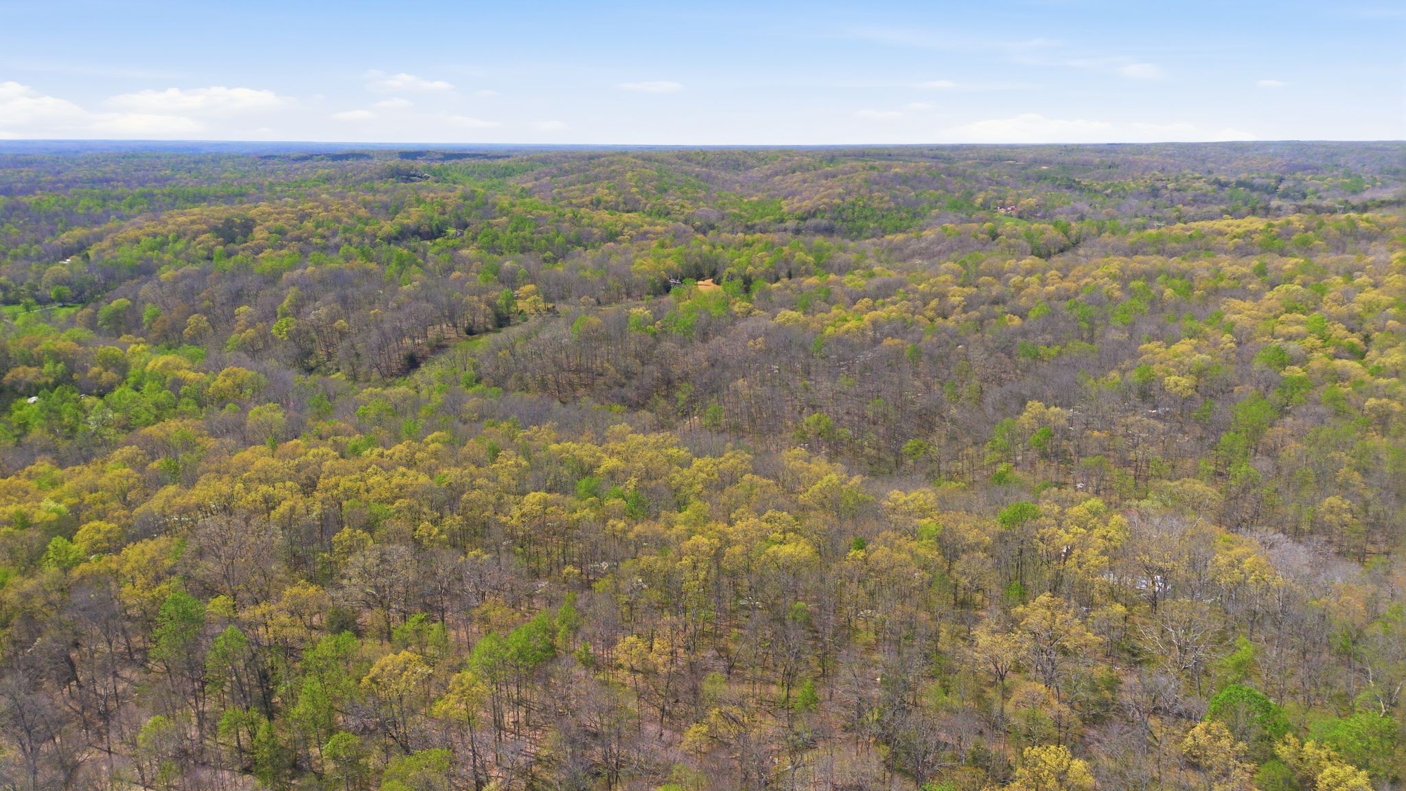 0 Possum Hollow Road Primm Springs, TN 38476 - Photo 13 of 29 a view of lake and mountain