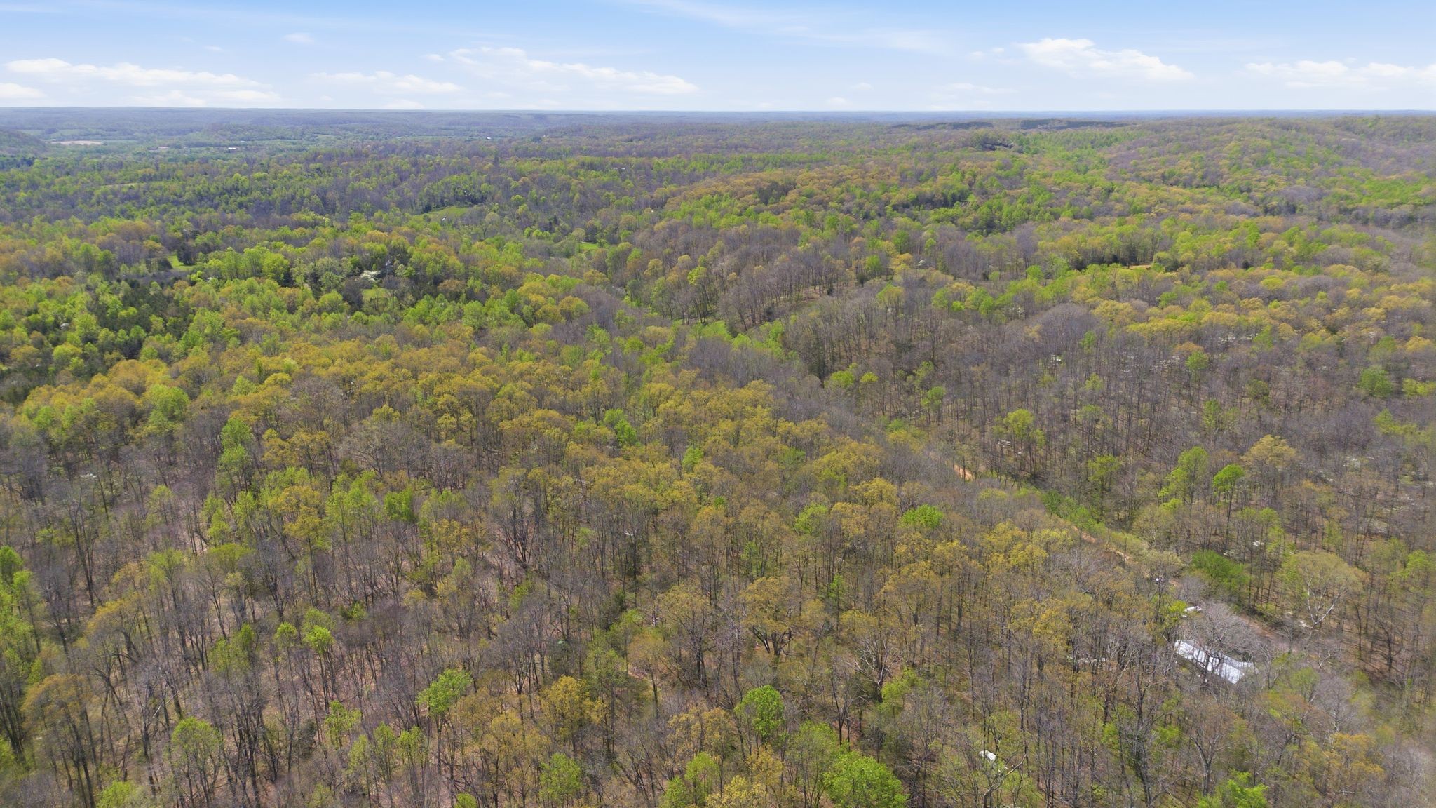 0 Possum Hollow Road Primm Springs, TN 38476 - Photo 14 of 29 a view of a field with an ocean