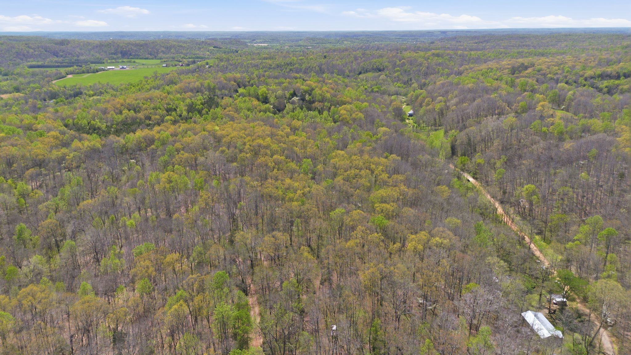 0 Possum Hollow Road Primm Springs, TN 38476 - Photo 15 of 29 a view of a yard with an outdoor space
