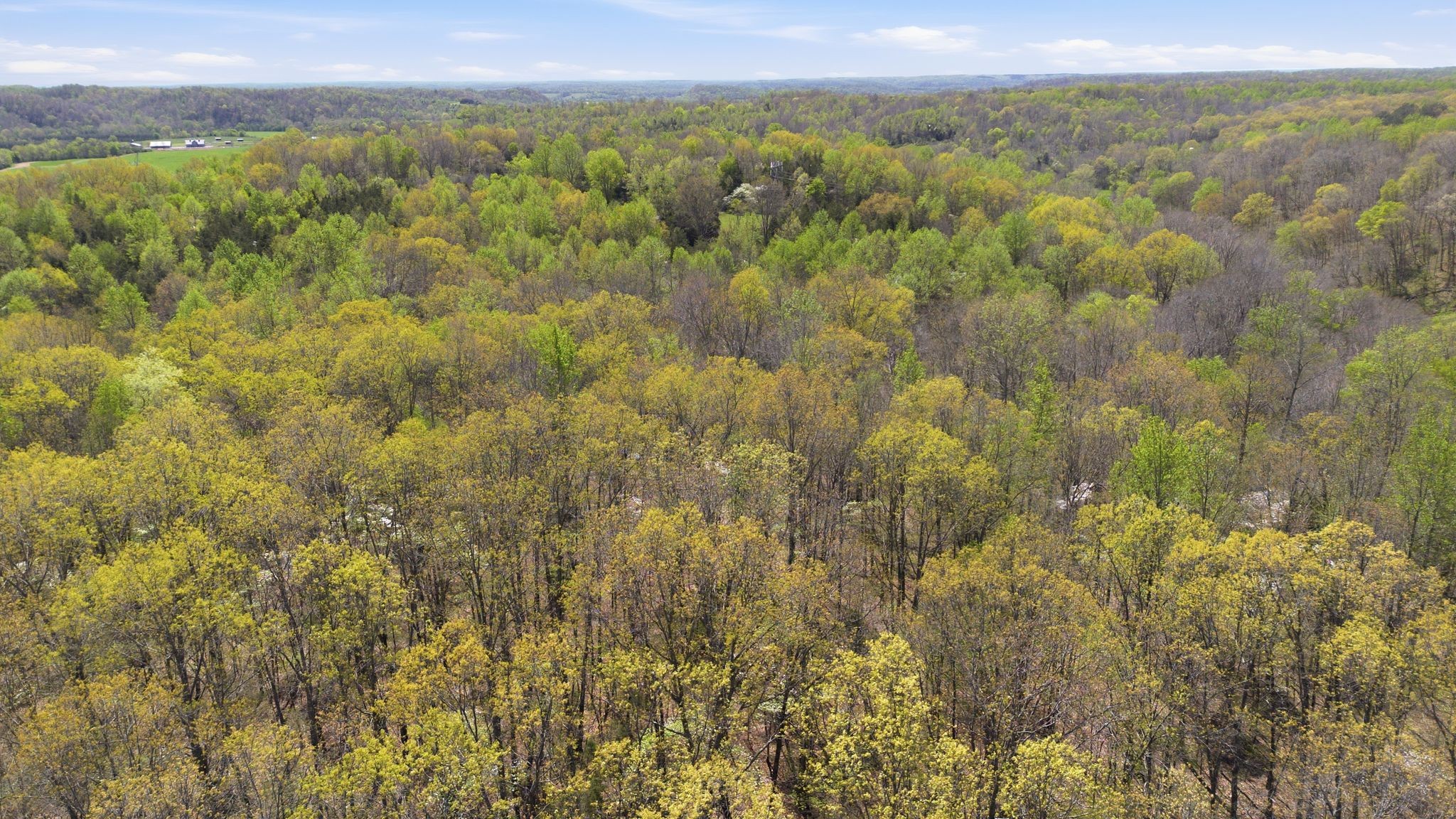 0 Possum Hollow Road Primm Springs, TN 38476 - Photo 20 of 29 a view of a yard with an outdoor space