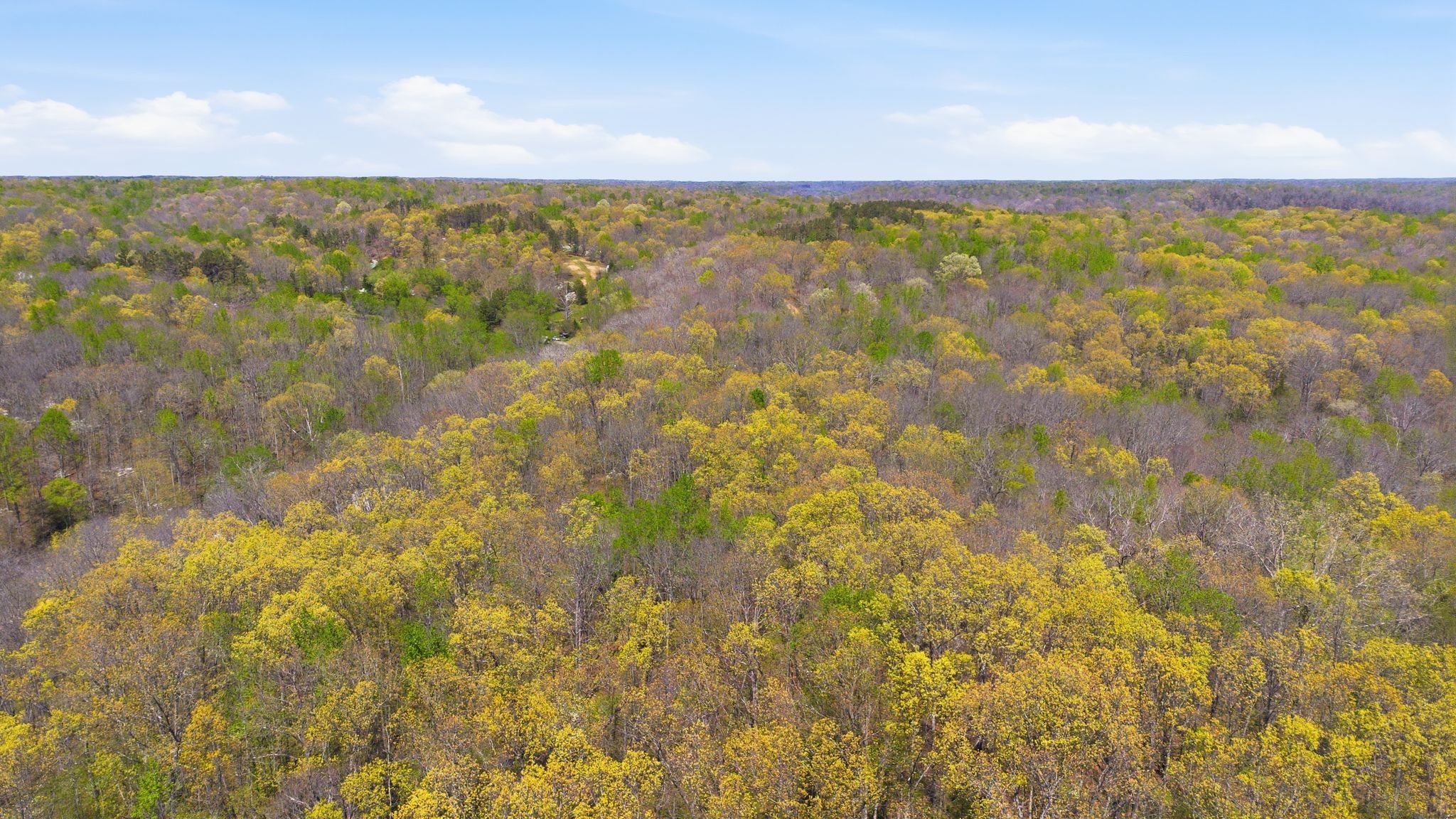 0 Possum Hollow Road Primm Springs, TN 38476 - Photo 21 of 29 a view of lake and green space