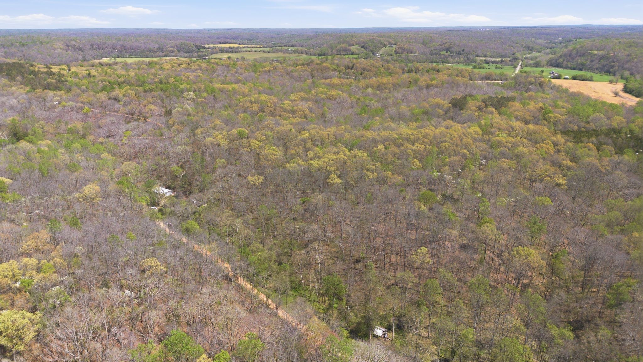 0 Possum Hollow Road Primm Springs, TN 38476 - Photo 27 of 29 a view of an outdoor space and a mountain view