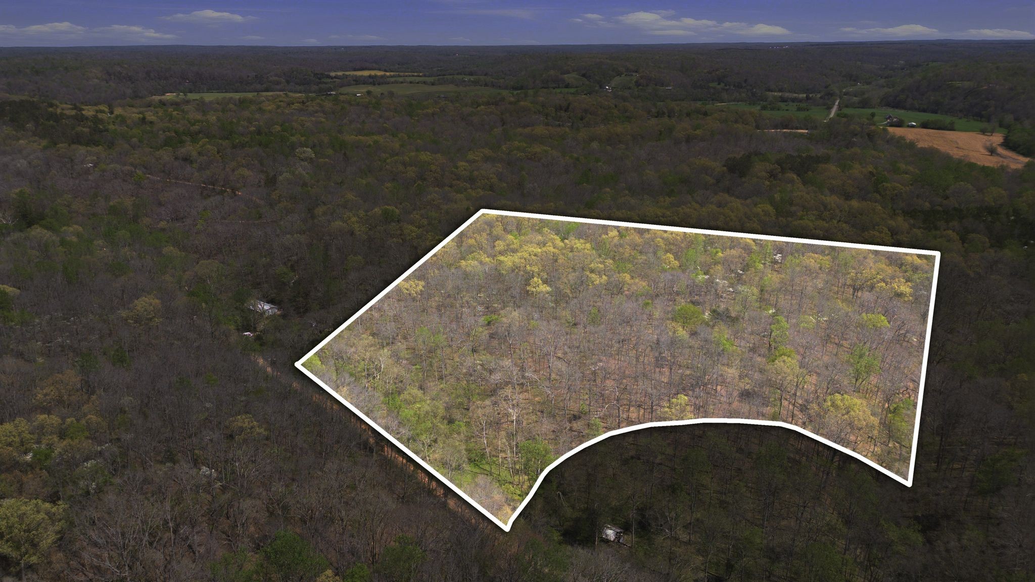 0 Possum Hollow Road Primm Springs, TN 38476 - Photo 28 of 29