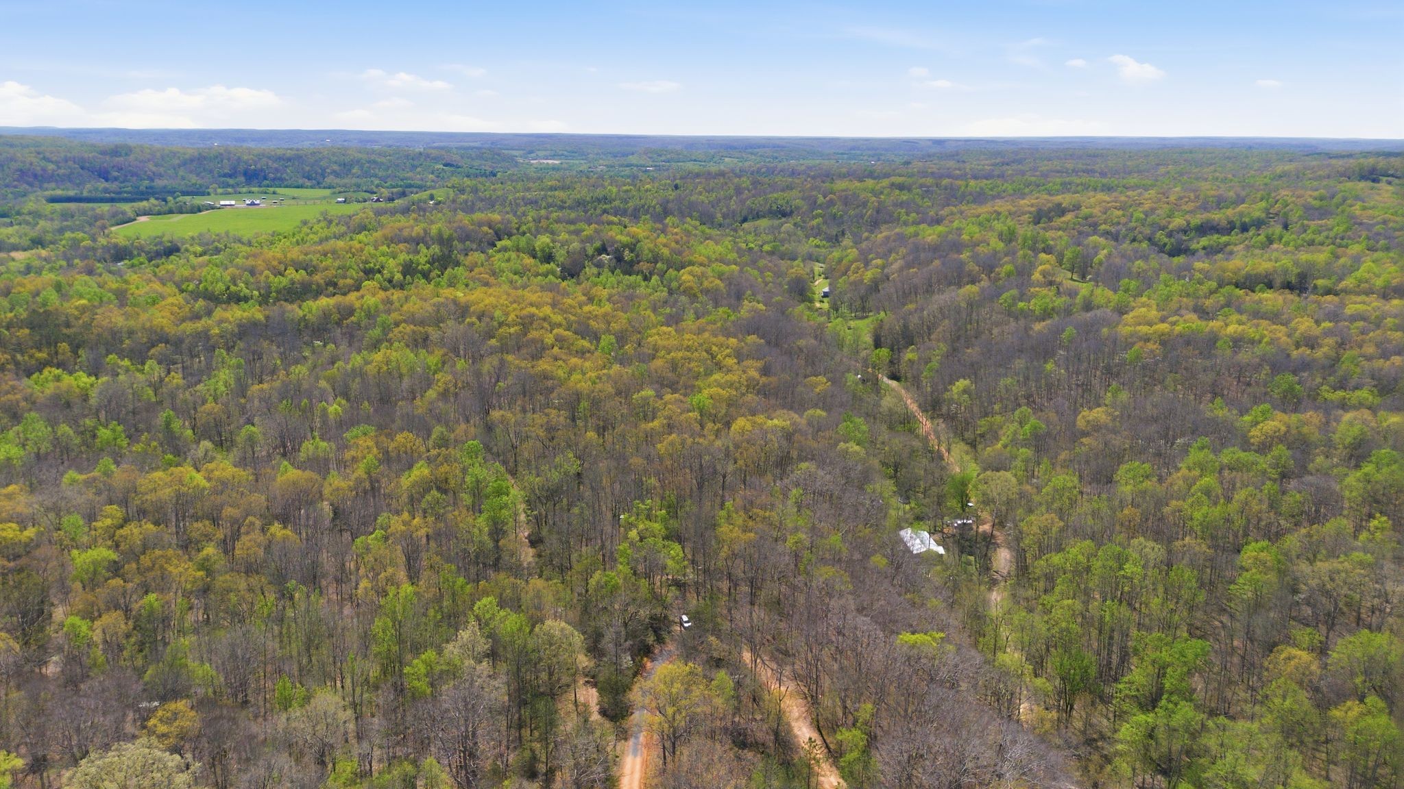 0 Possum Hollow Road Primm Springs, TN 38476 - Photo 3 of 29 a view of a city with lush green forest