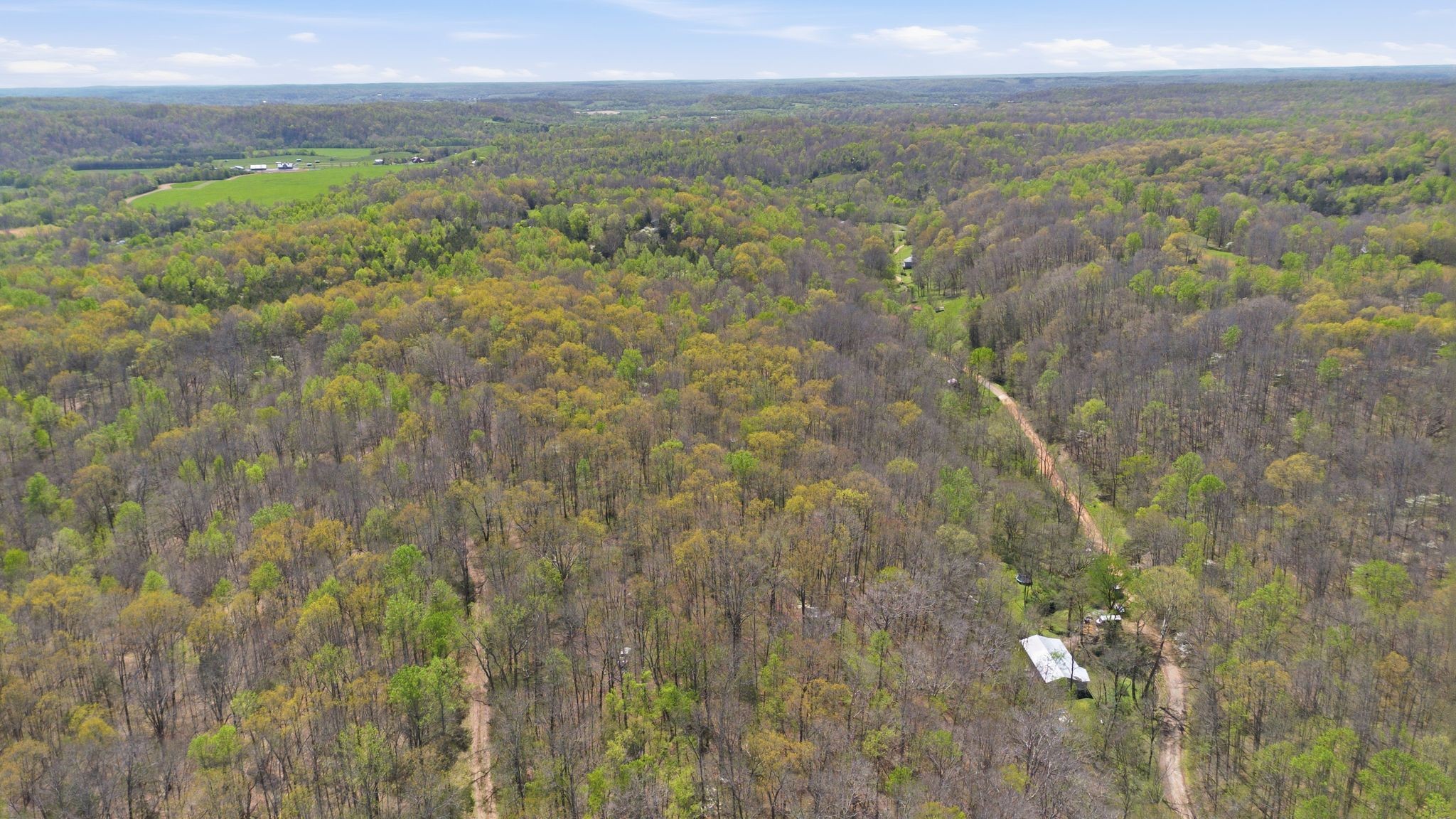 0 Possum Hollow Road Primm Springs, TN 38476 - Photo 4 of 29
